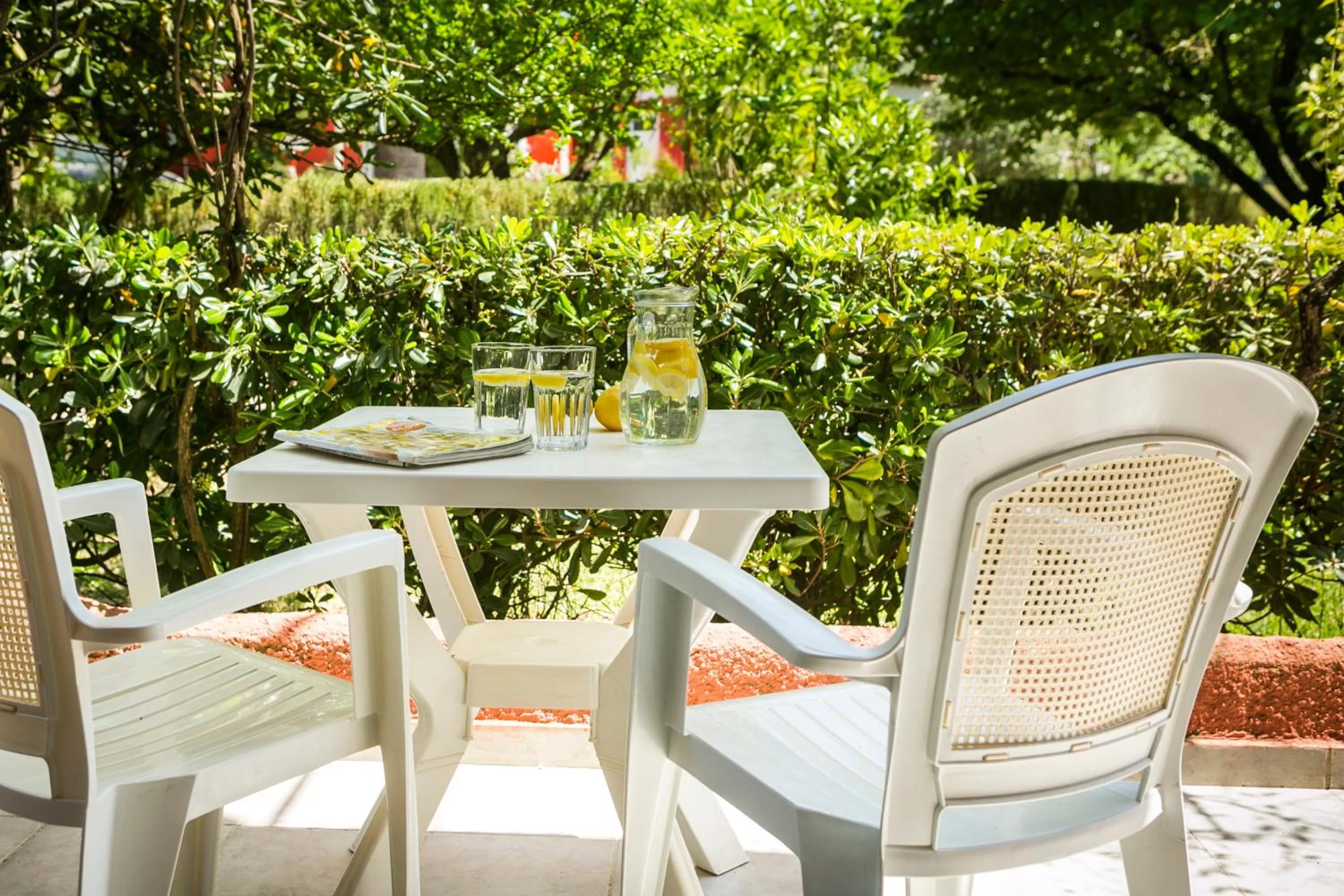 Balcony/Terrace in Dendrolivano