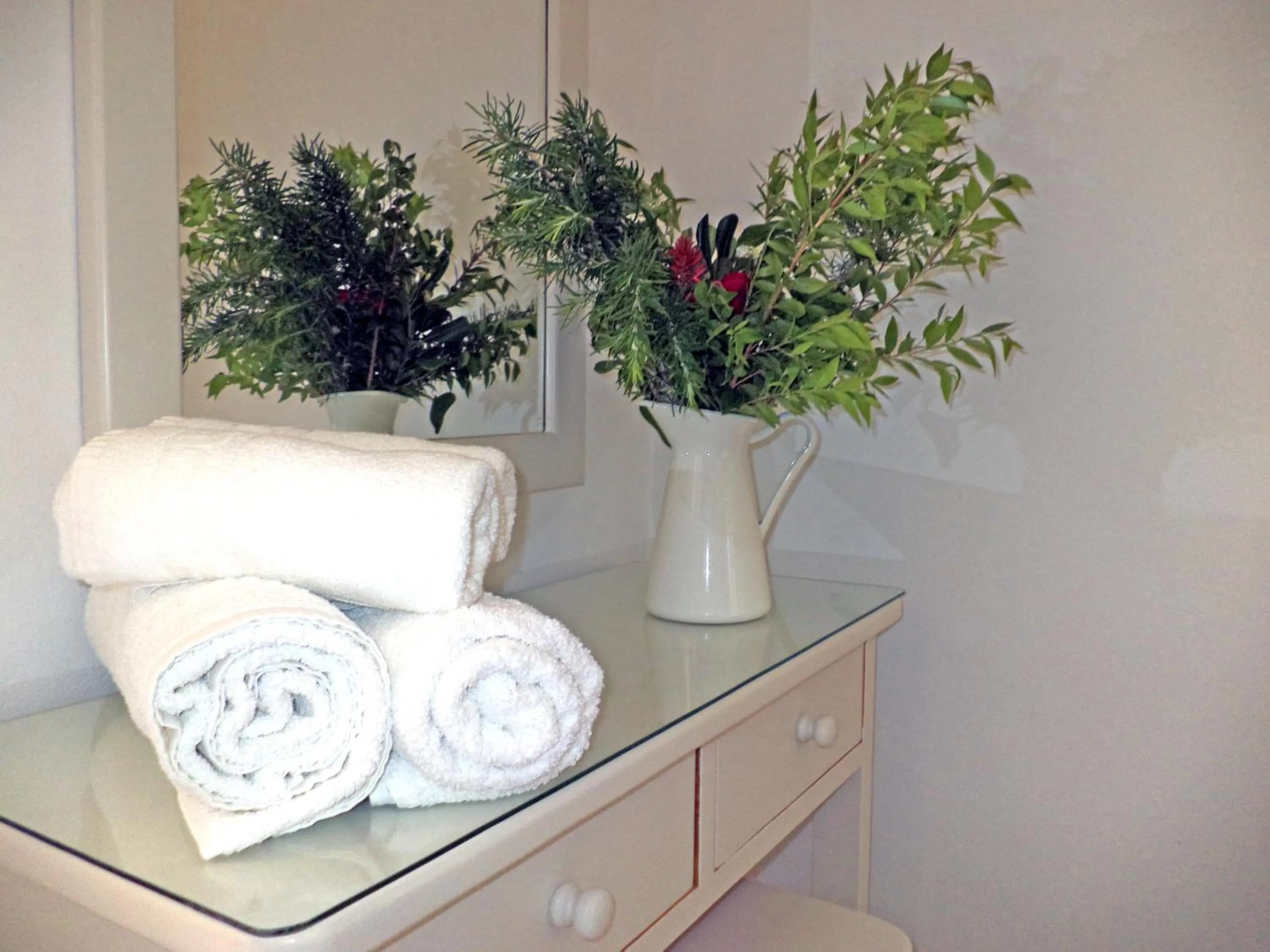 Photo of the whole room in Dendrolivano