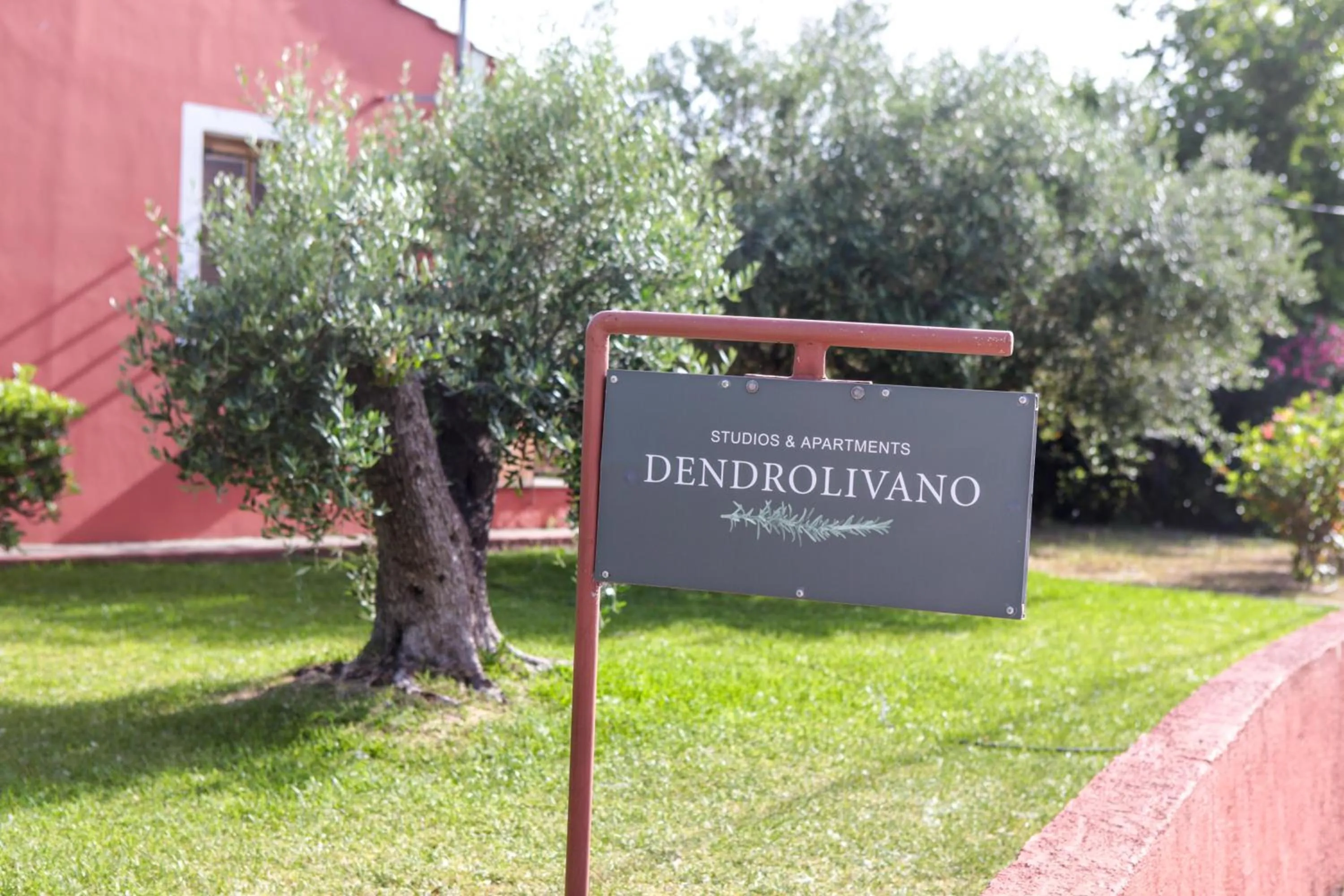 Property logo or sign in Dendrolivano