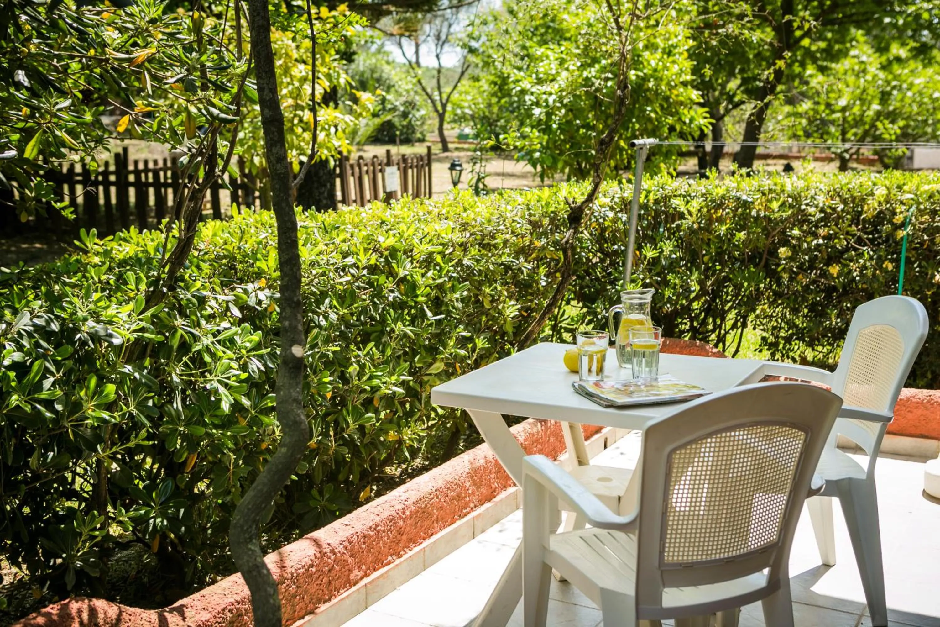 Balcony/Terrace in Dendrolivano