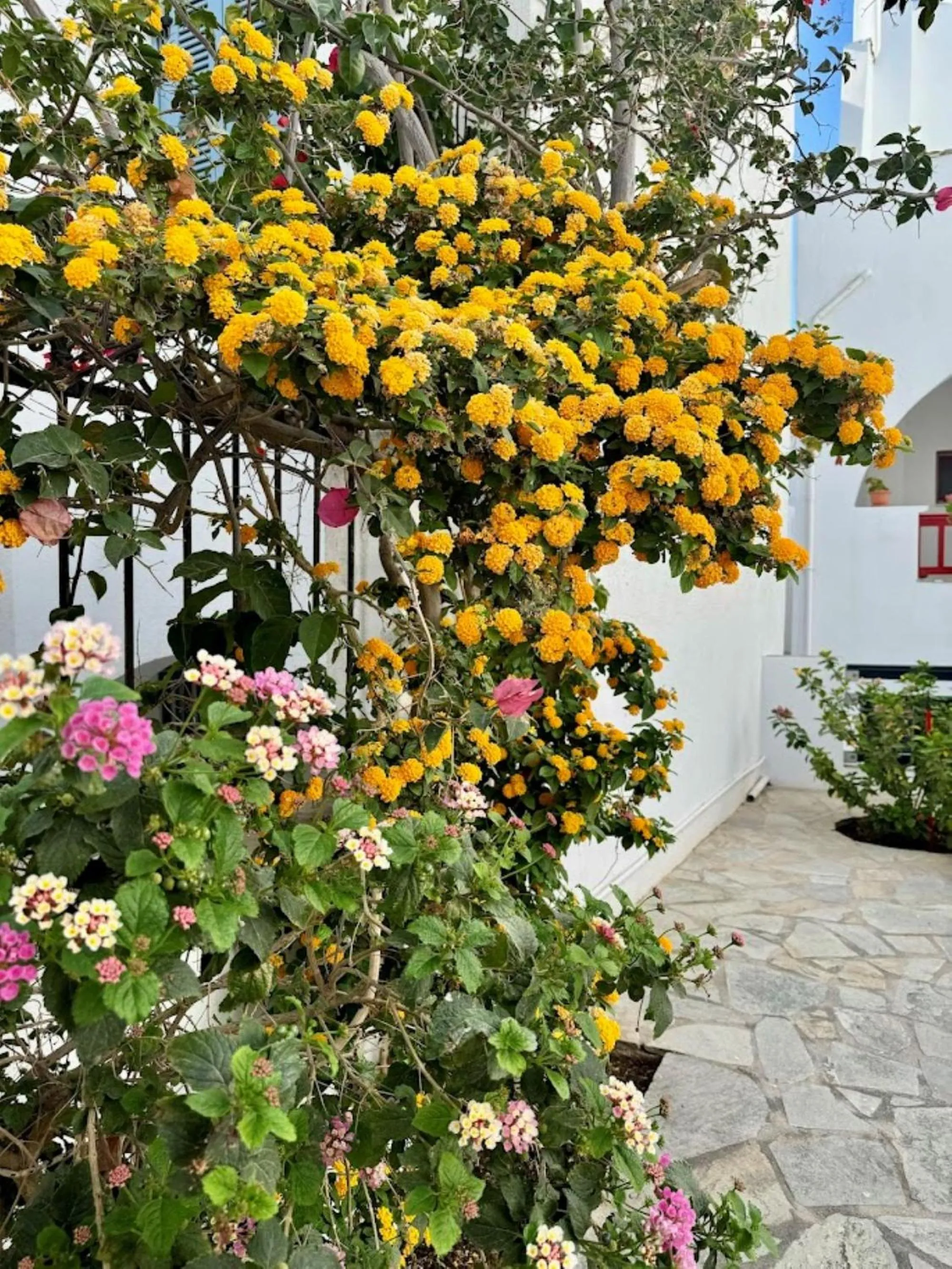 Property building in Elisso's Philoxenia