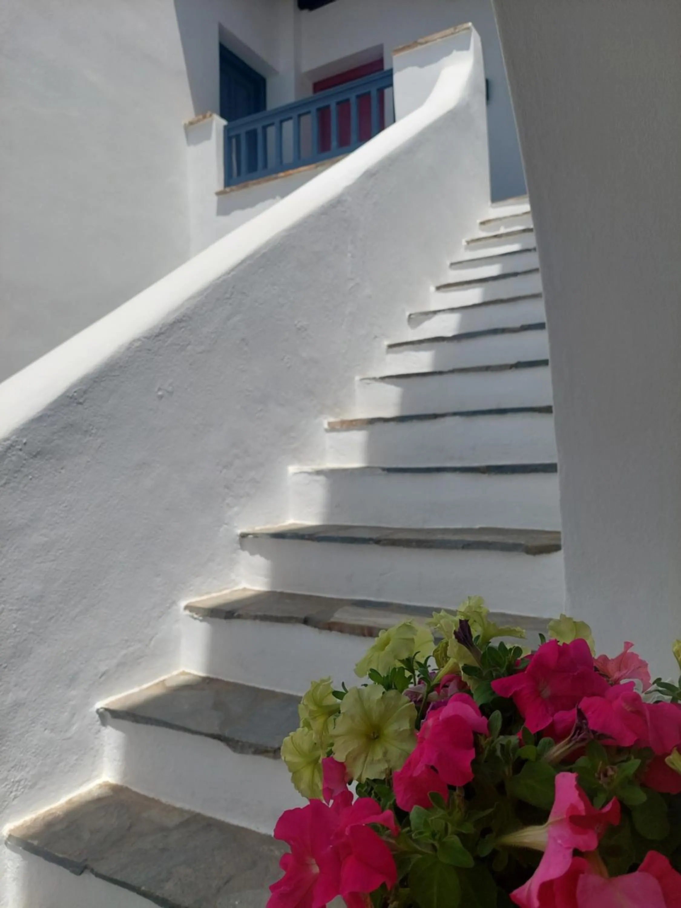 Property building in Elisso's Philoxenia