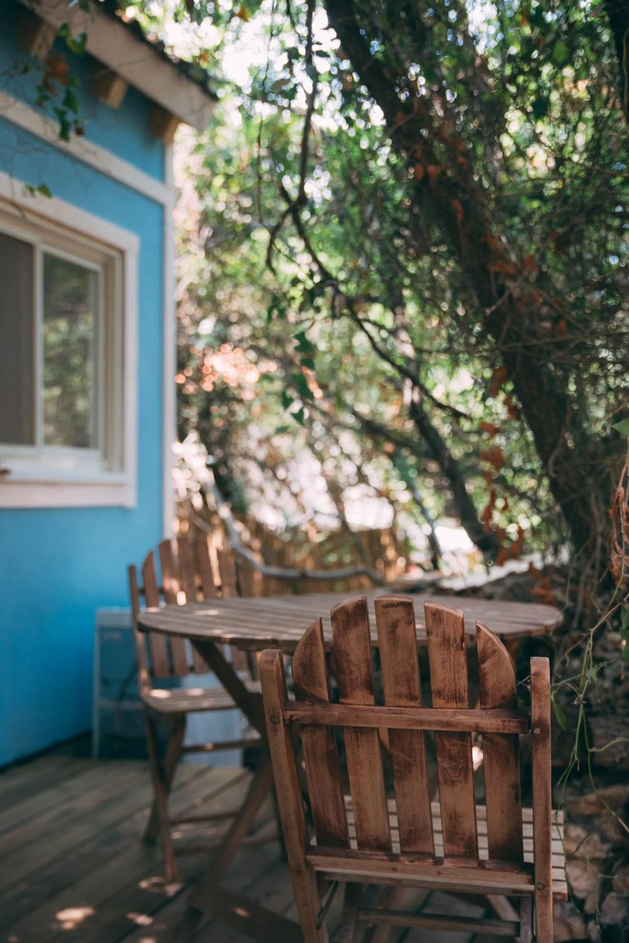 Blue House In The Woods- Amirim