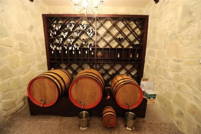 Entertainment in Hotel Mondial - Baia