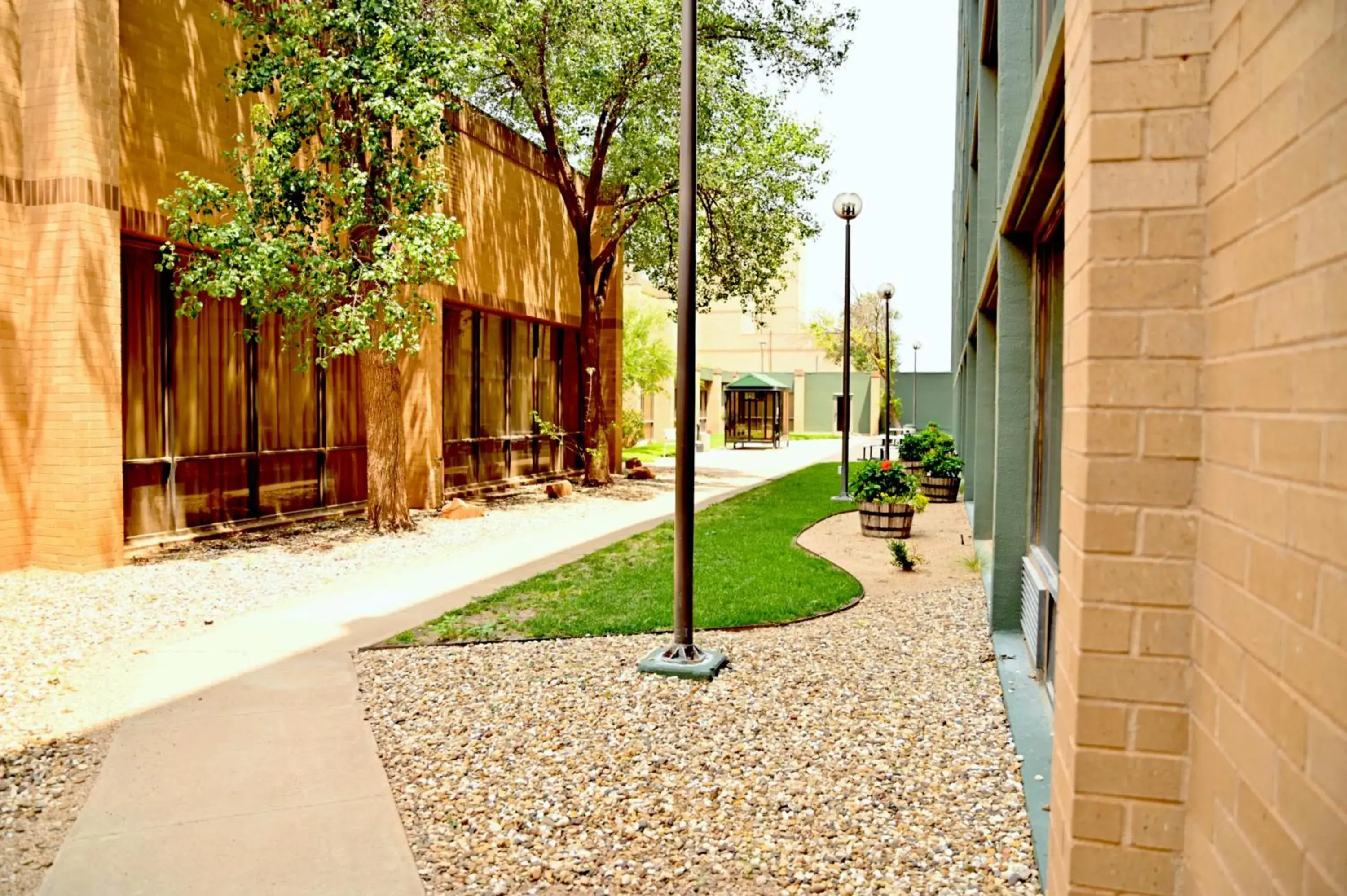 Property building in MCM Elegante Hotel & Suites Lubbock Property building in MCM Elegante Hotel & Suites Lubbock