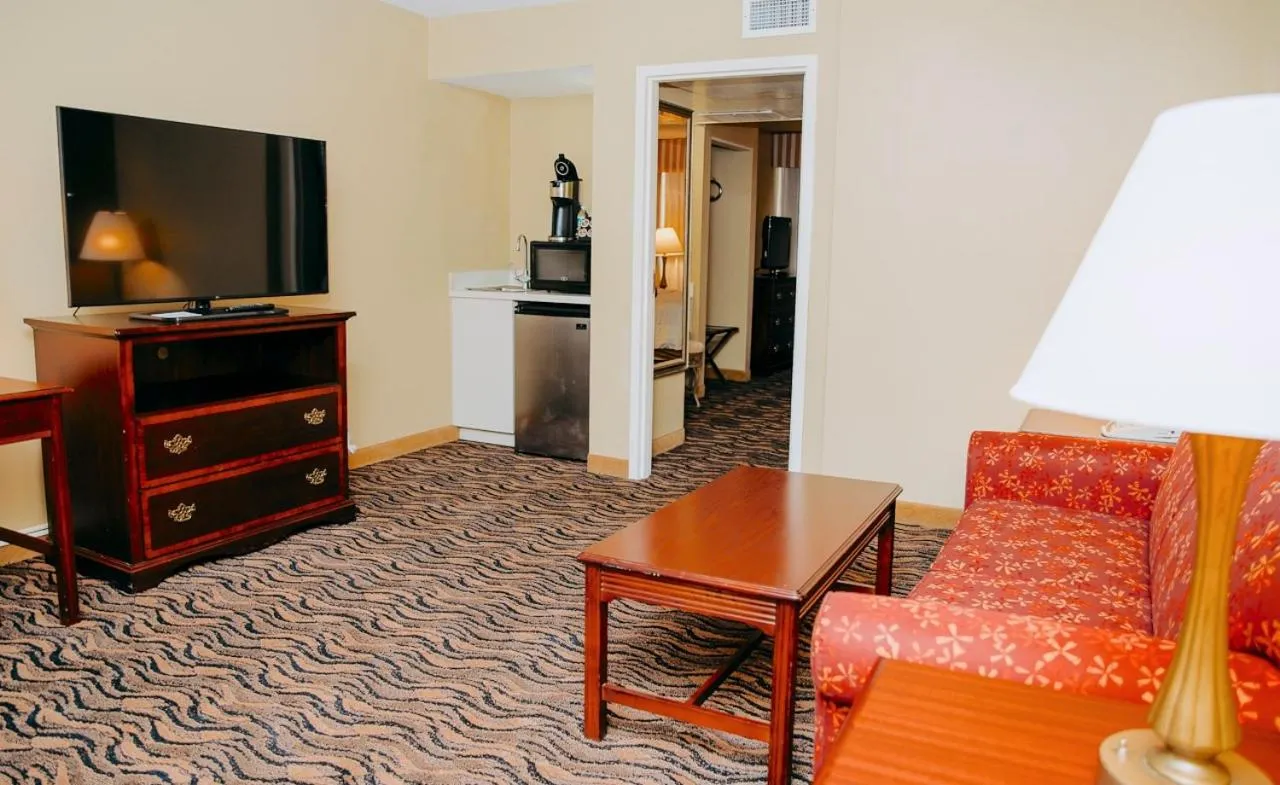 TV and multimedia in MCM Elegante Hotel & Suites Lubbock