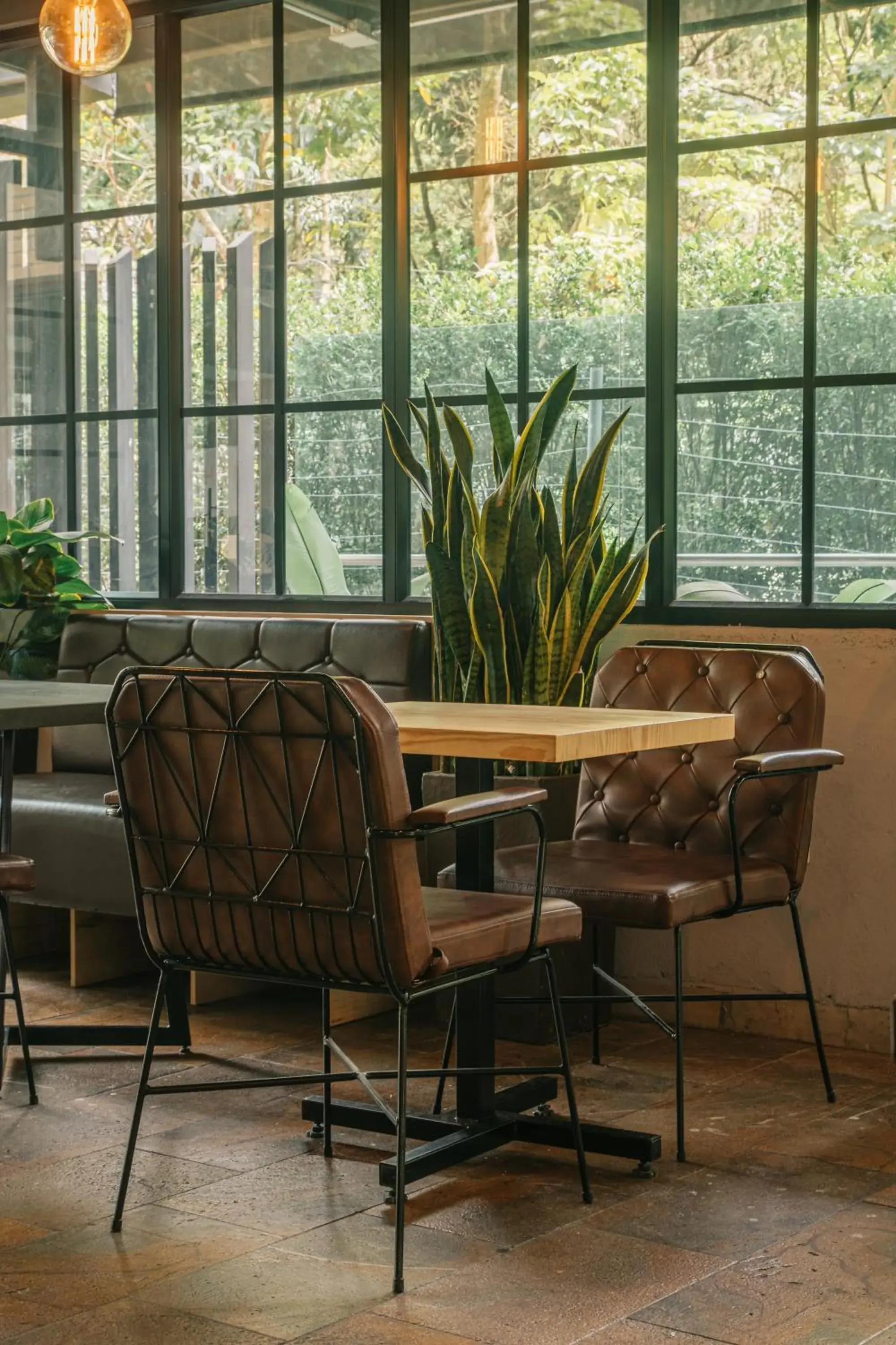 Living room in Cafe Hotel Medellín Living room in Cafe Hotel Medellín