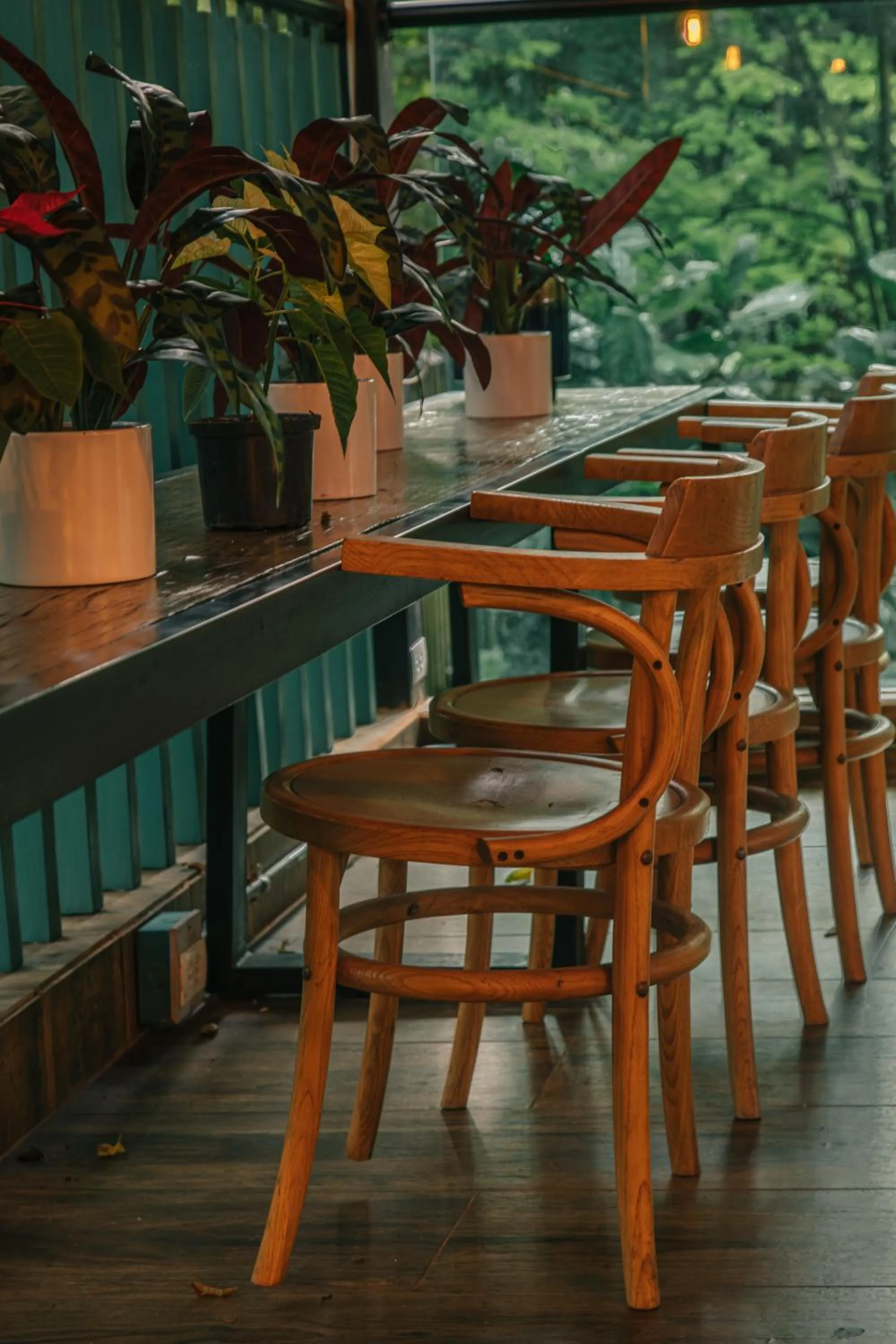 Meals in Cafe Hotel Medellín