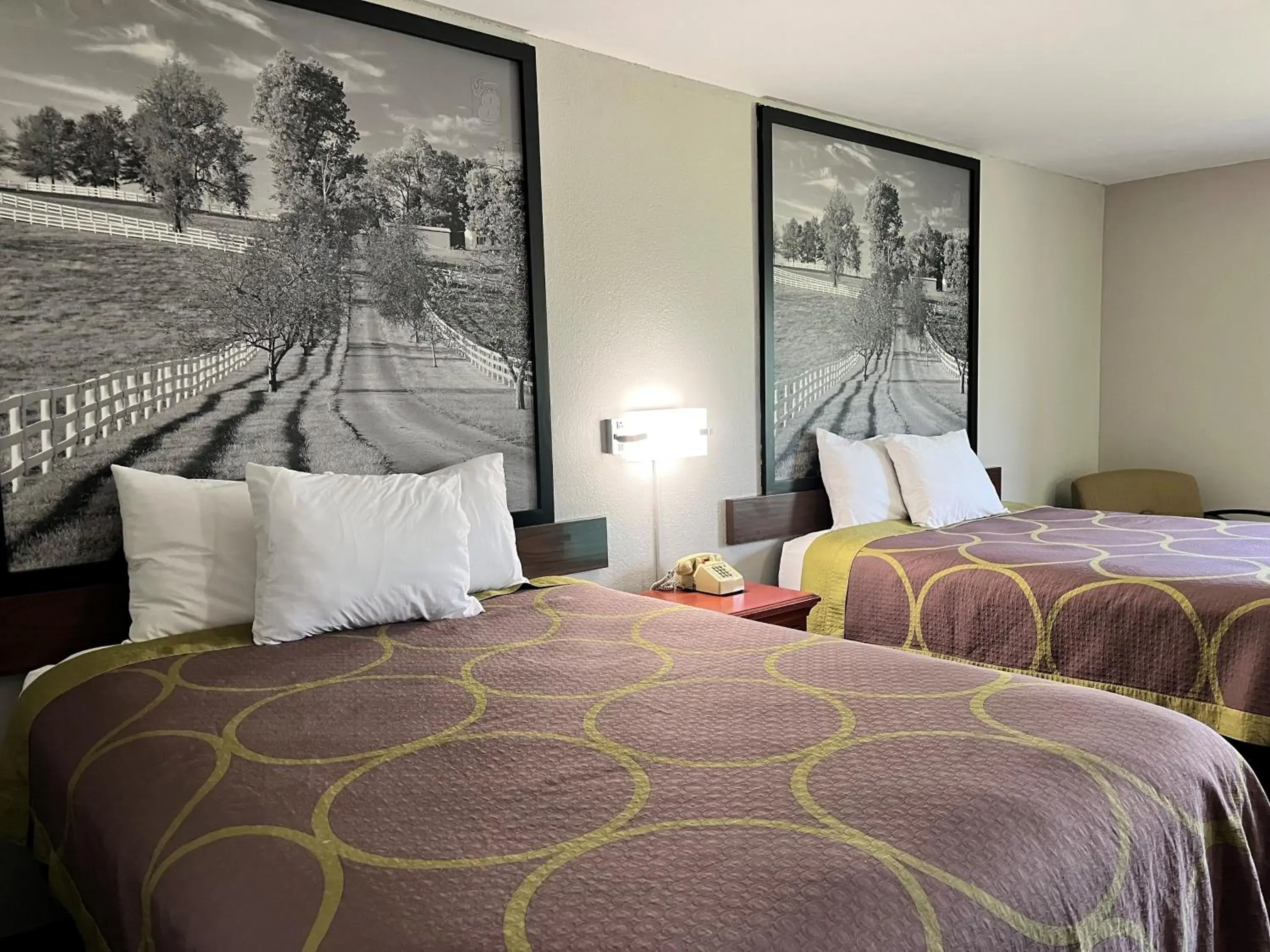 Queen Room with Two Queen Beds - Non-Smoking in Super 8 by Wyndham Vincennes Queen Room with Two Queen Beds - Non-Smoking in Super 8 by Wyndham Vincennes