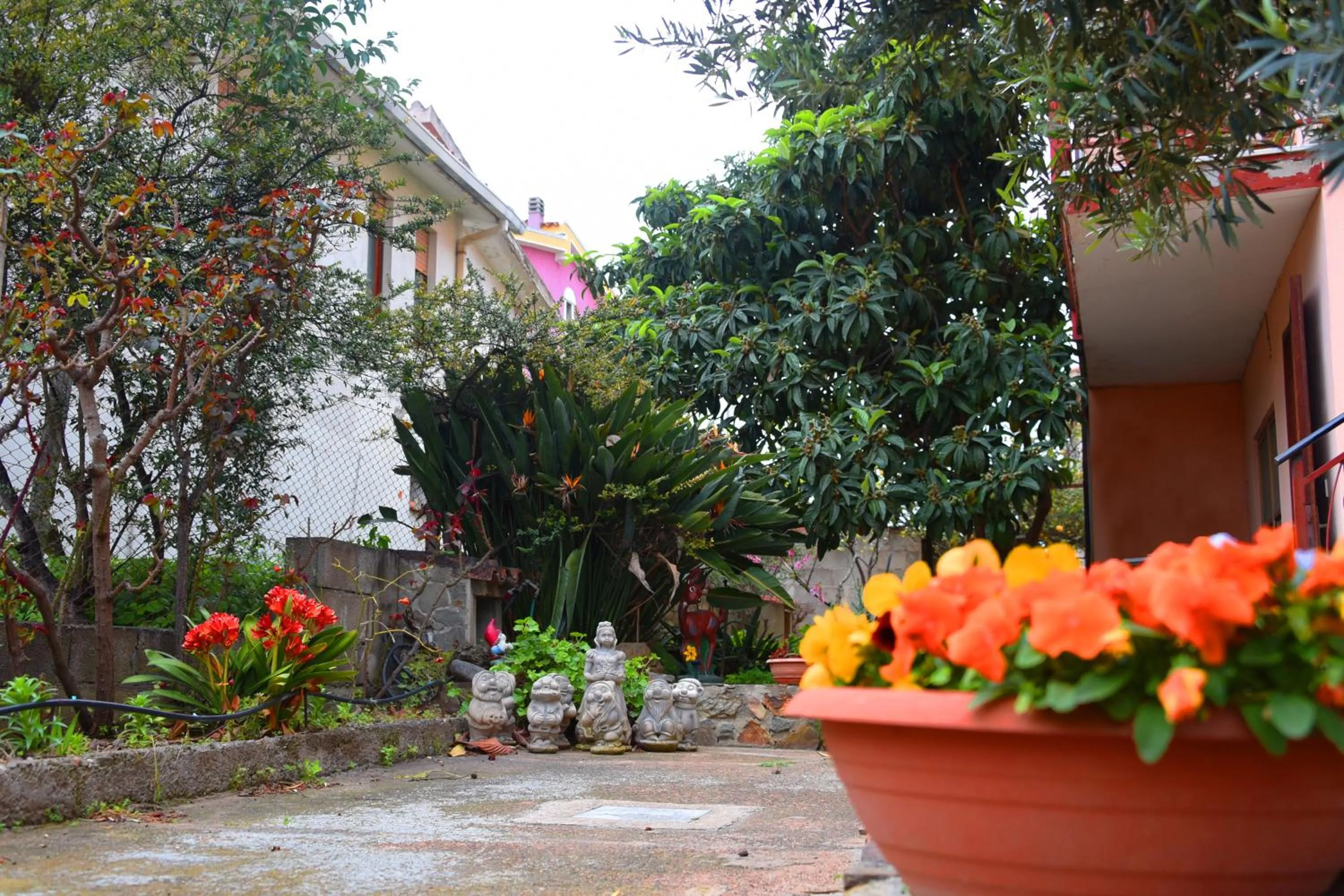 La Casa del Cuore