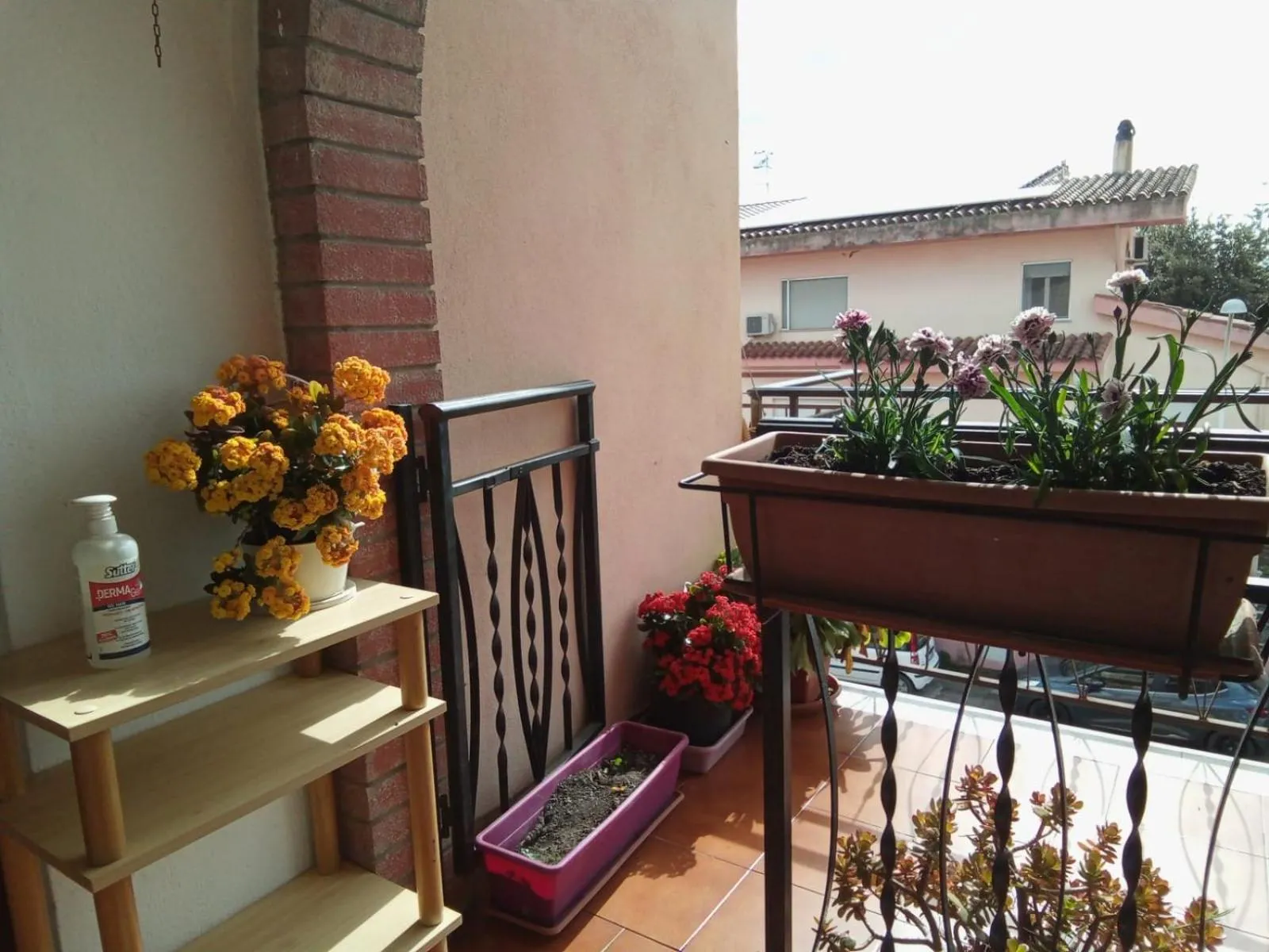 La Casa del Cuore