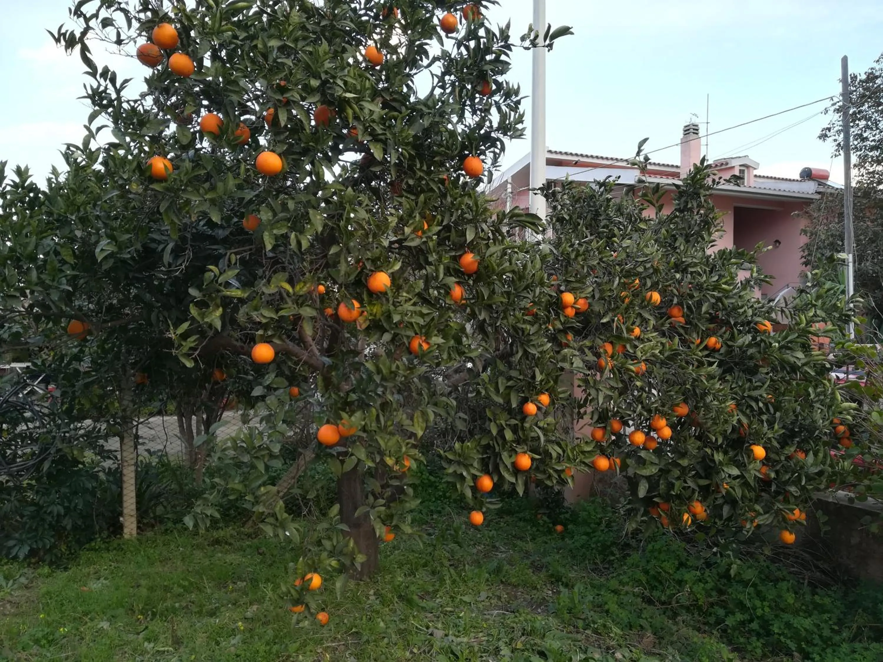 La Casa del Cuore
