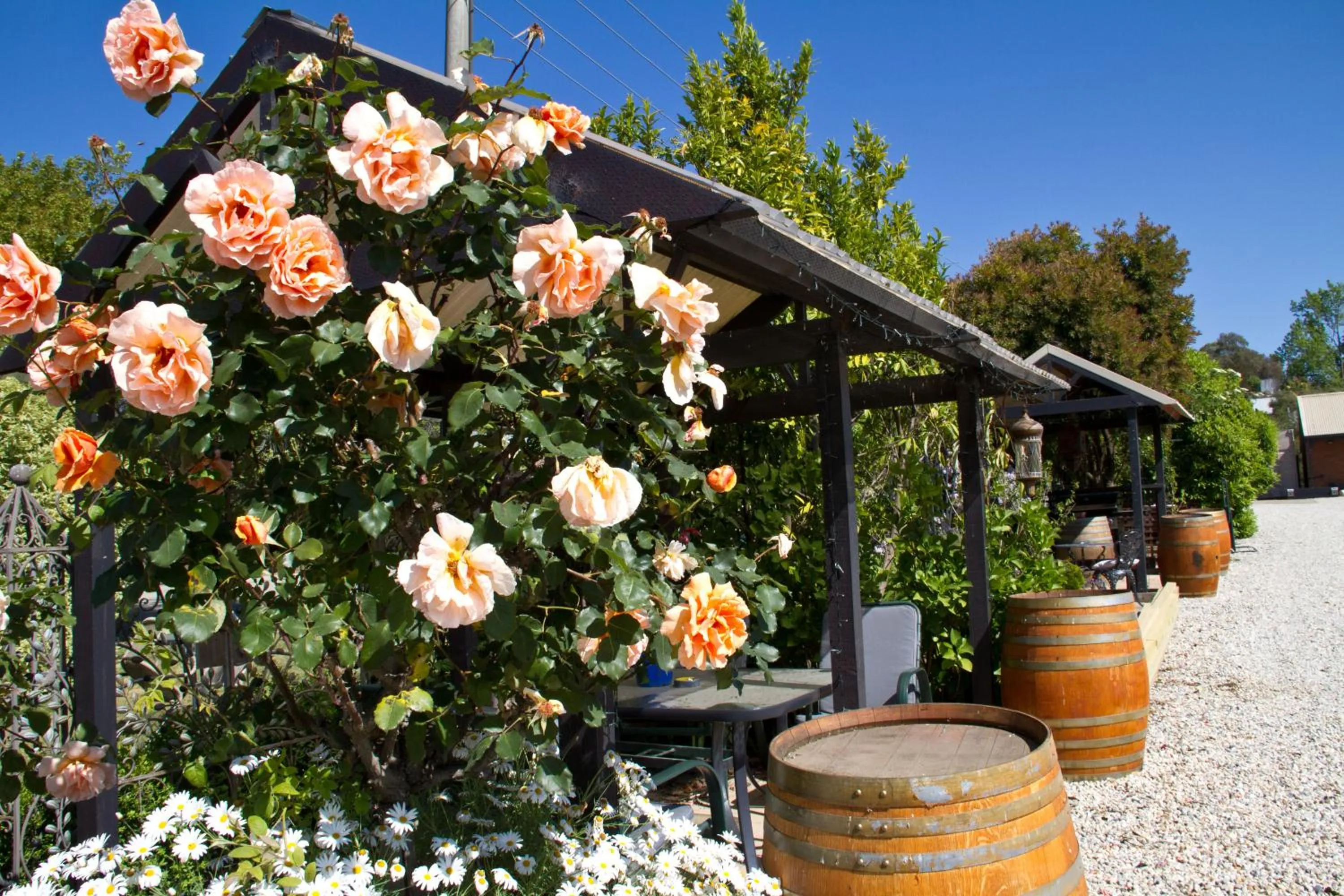 Garden in Beechworth On Bridge Motel