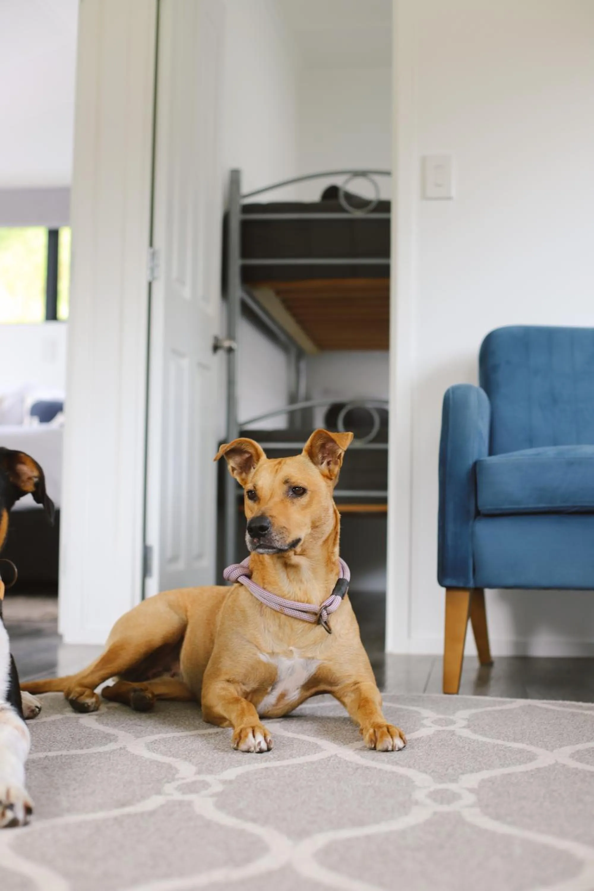 Bowentown Beach Holiday Park