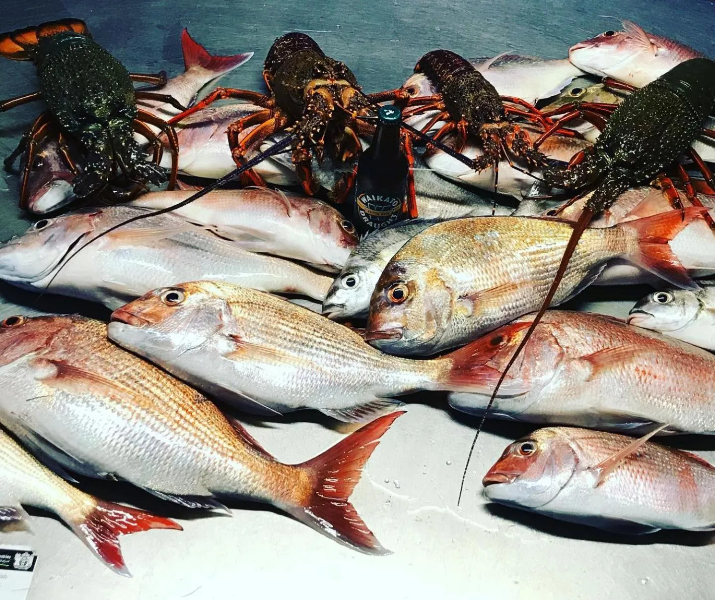 Bowentown Beach Holiday Park