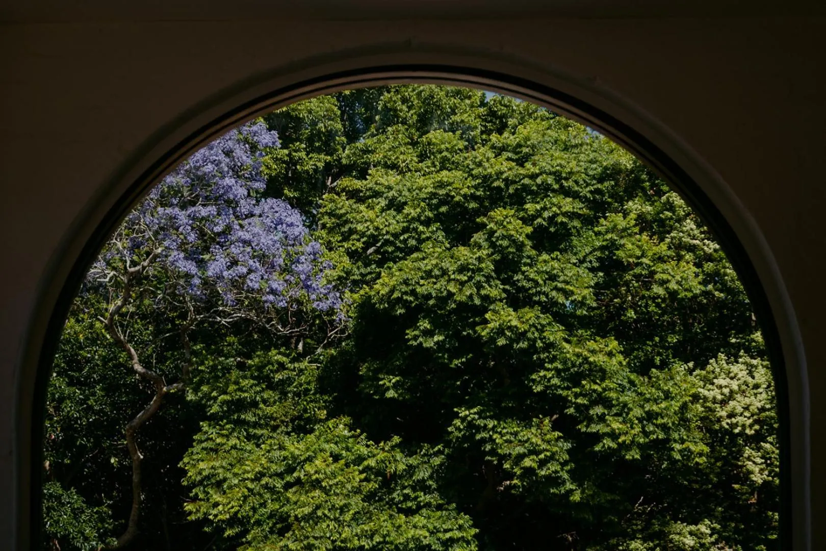 Property building in The Tamborine - Boutique Hotel