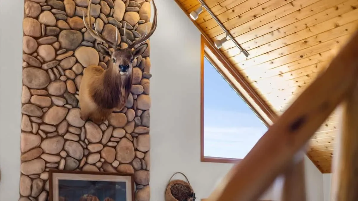 Mountain View Tee and Ski