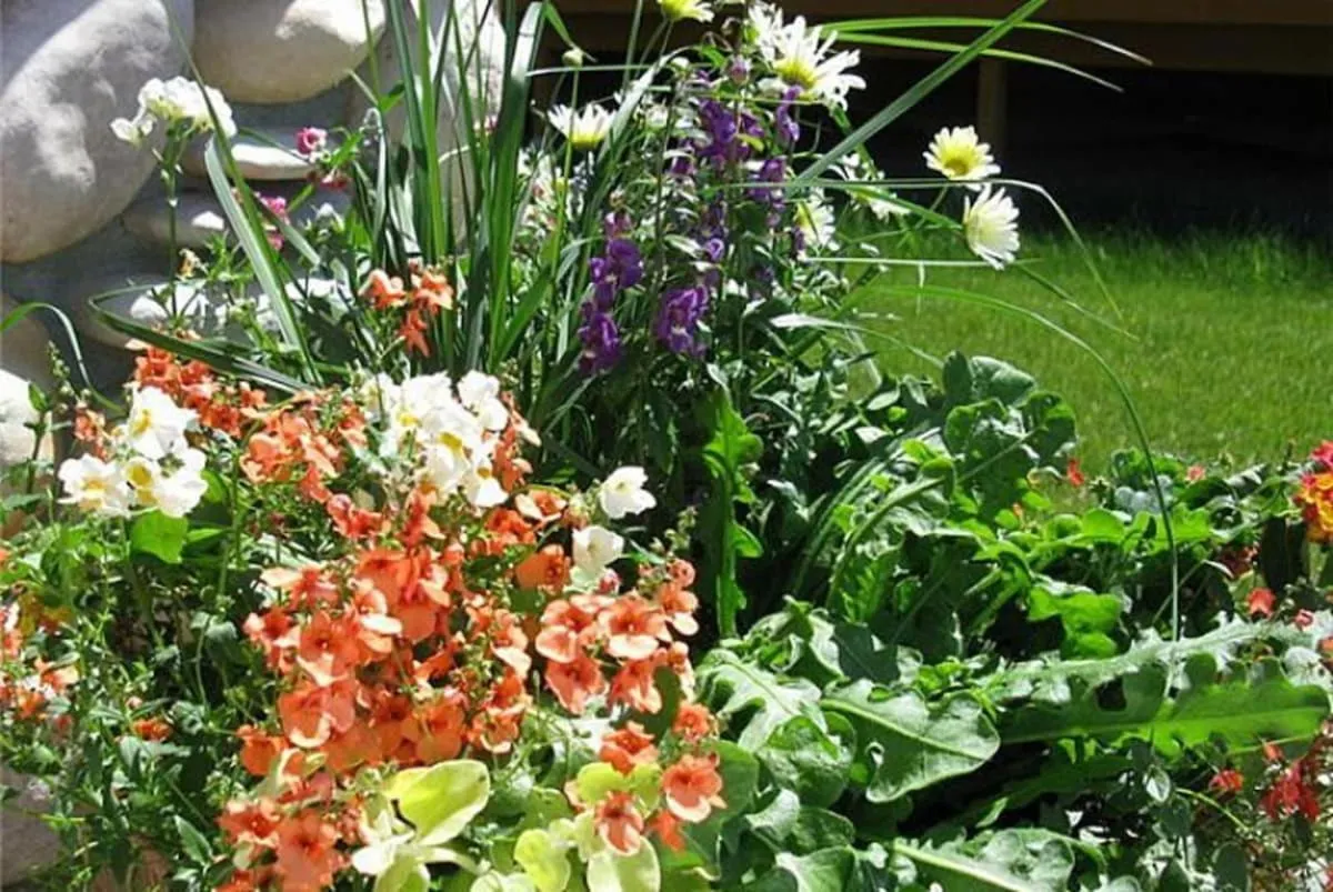 Mountain View Tee and Ski