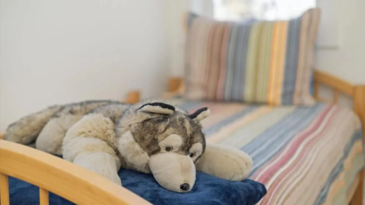Bed in Mountain Treetop