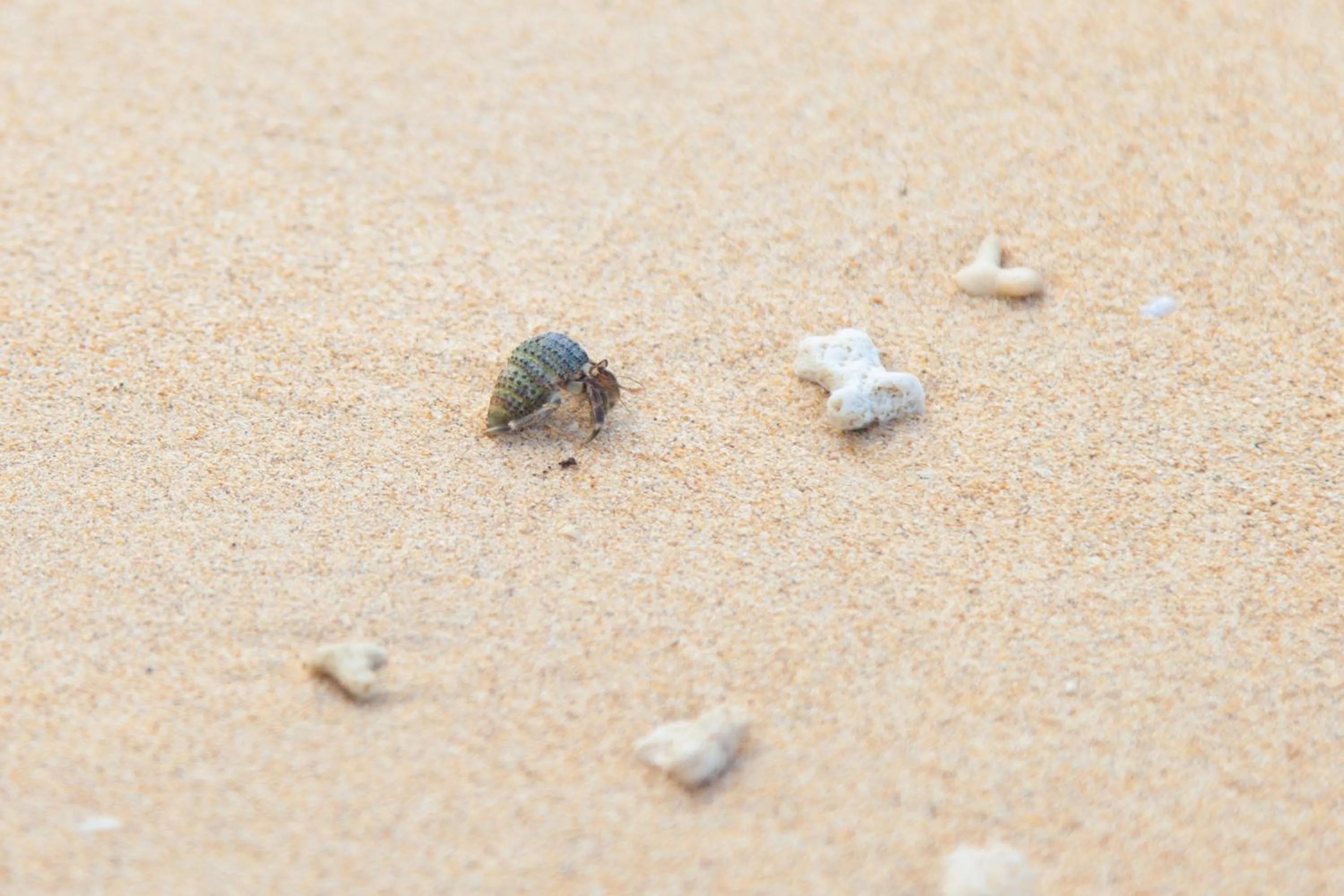 Beach in Villa Itona ishigakijima