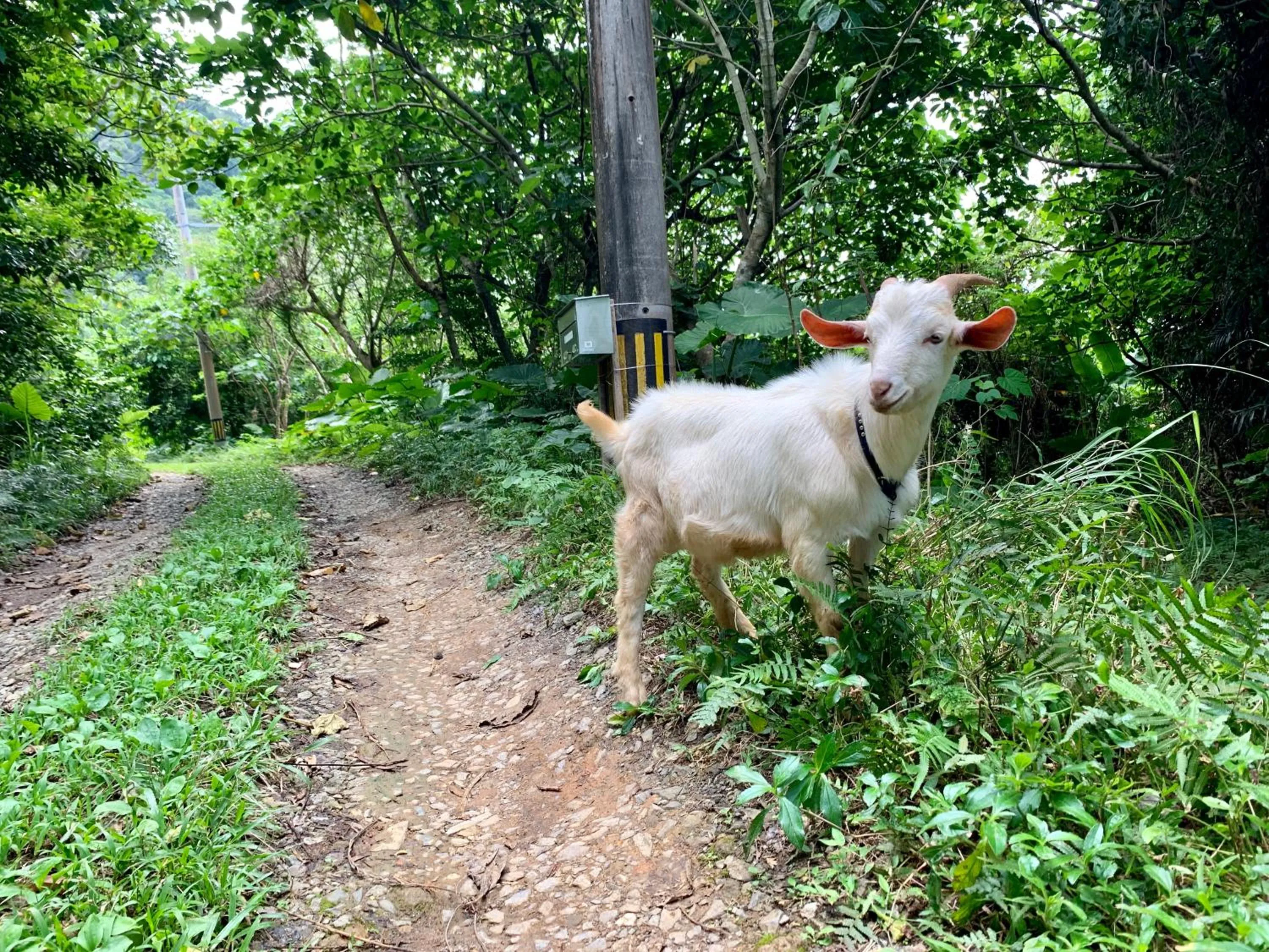 Neighbourhood in Villa Itona ishigakijima