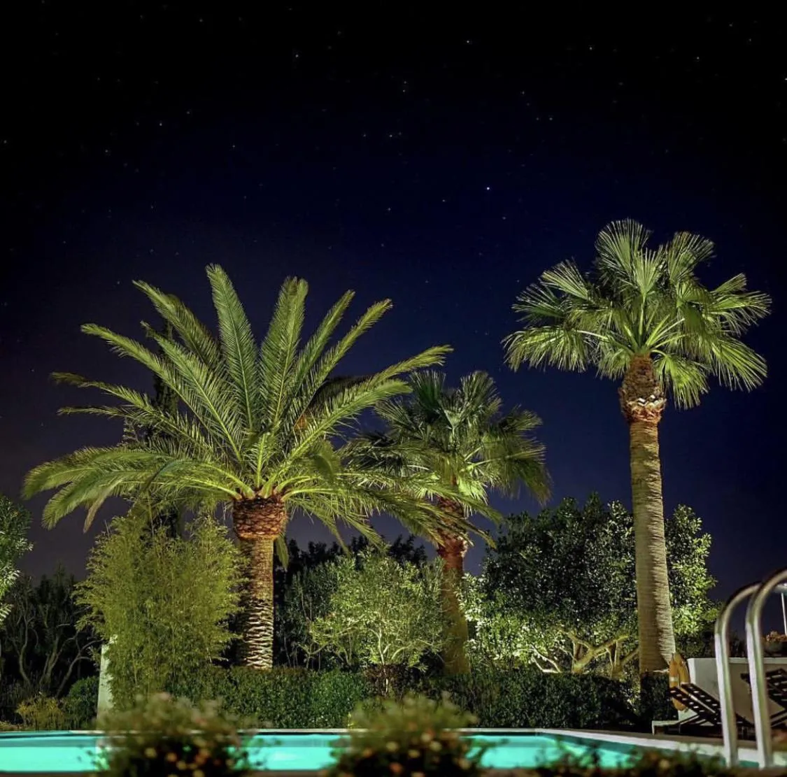 Garden in Quinta da Lua