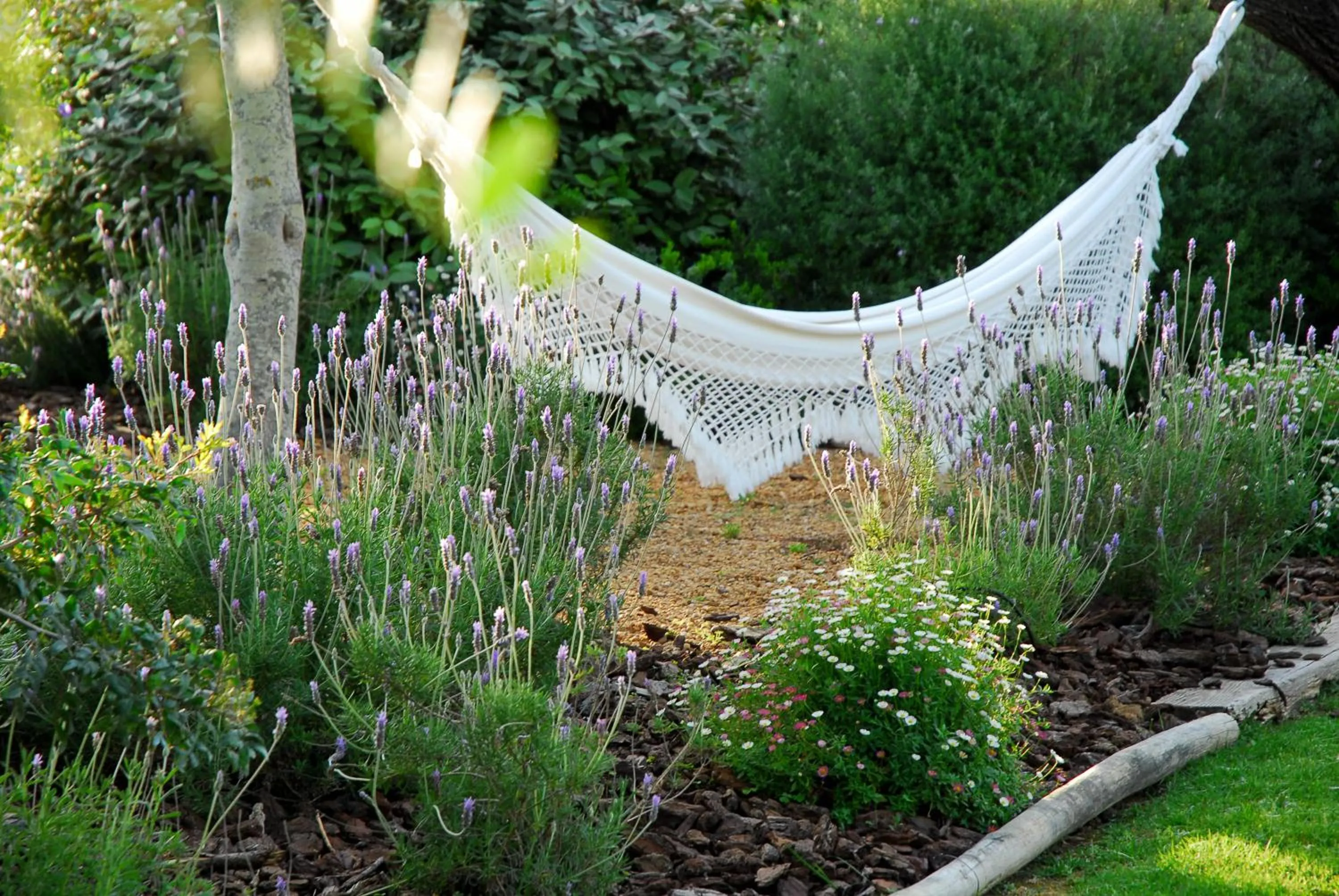 Garden in Quinta da Lua