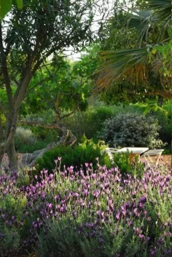 Garden in Quinta da Lua