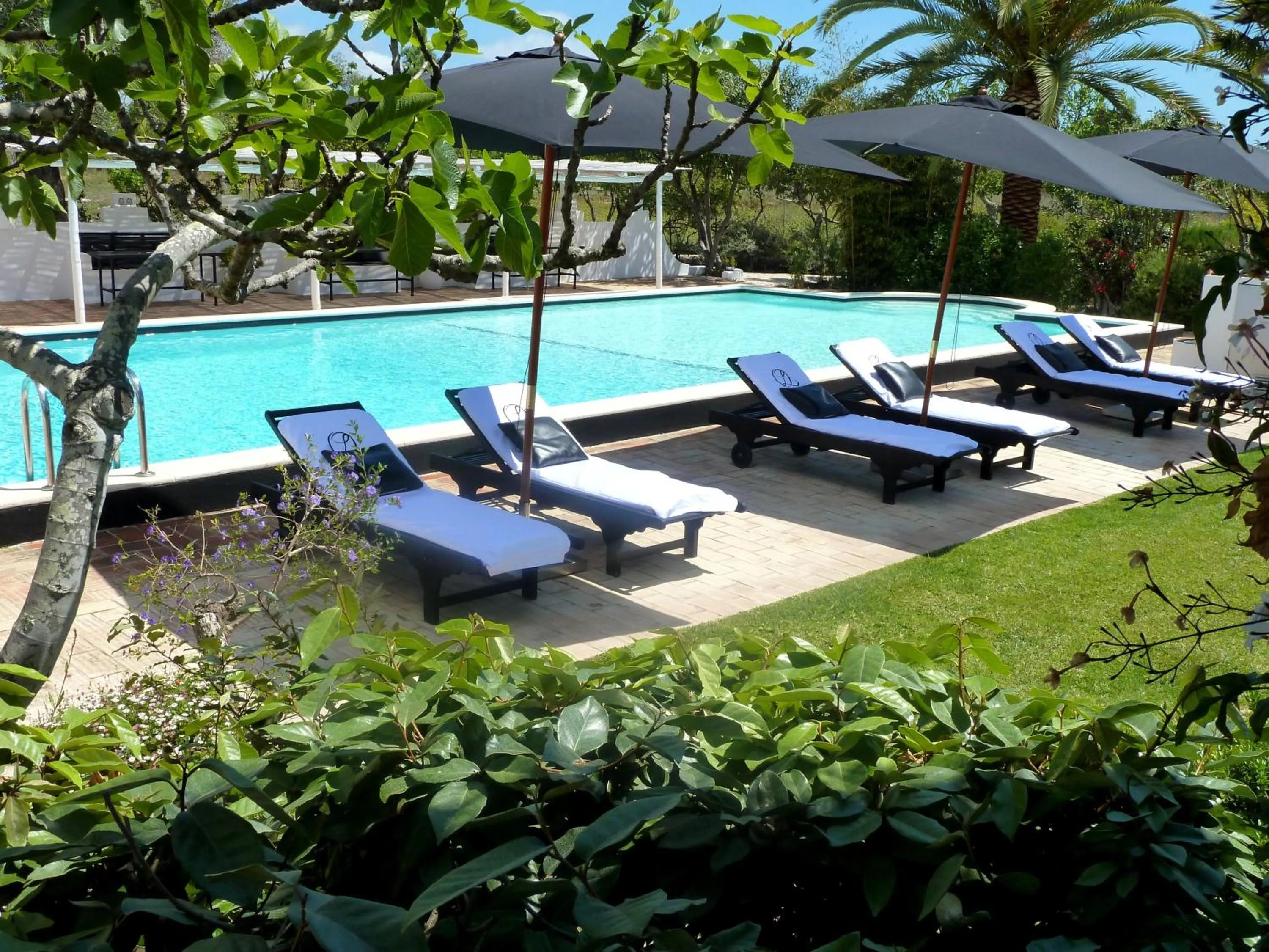 Garden in Quinta da Lua