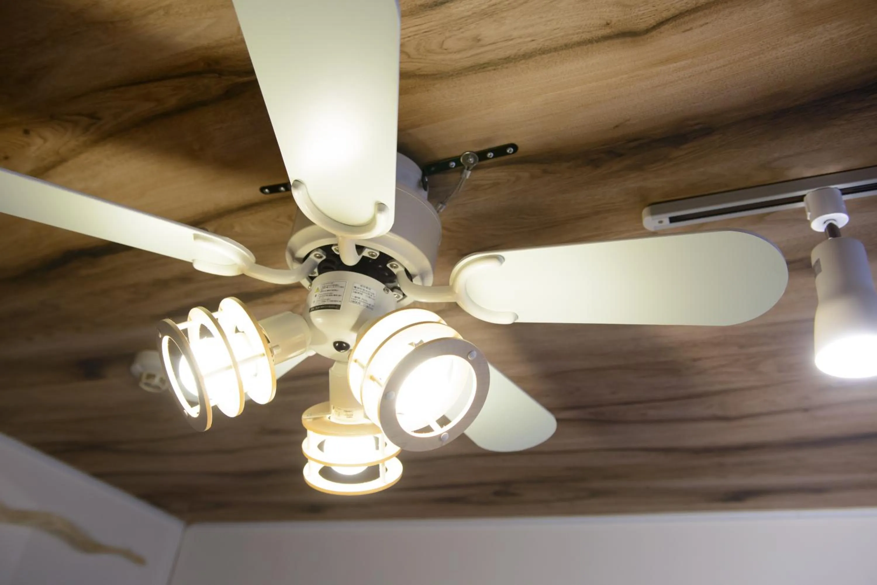 Living room in Obligado