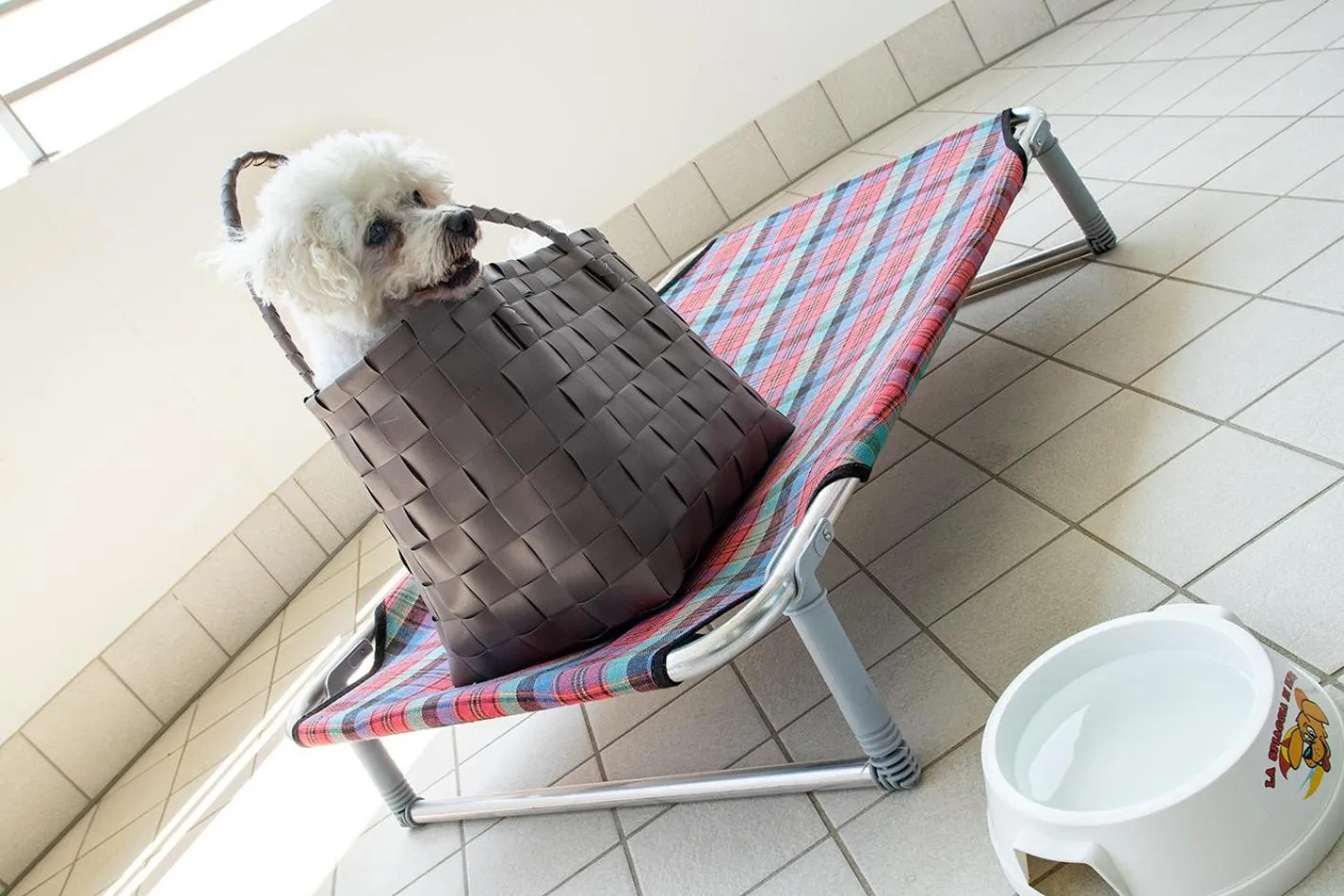 Balcony/Terrace in Residence Serenissima