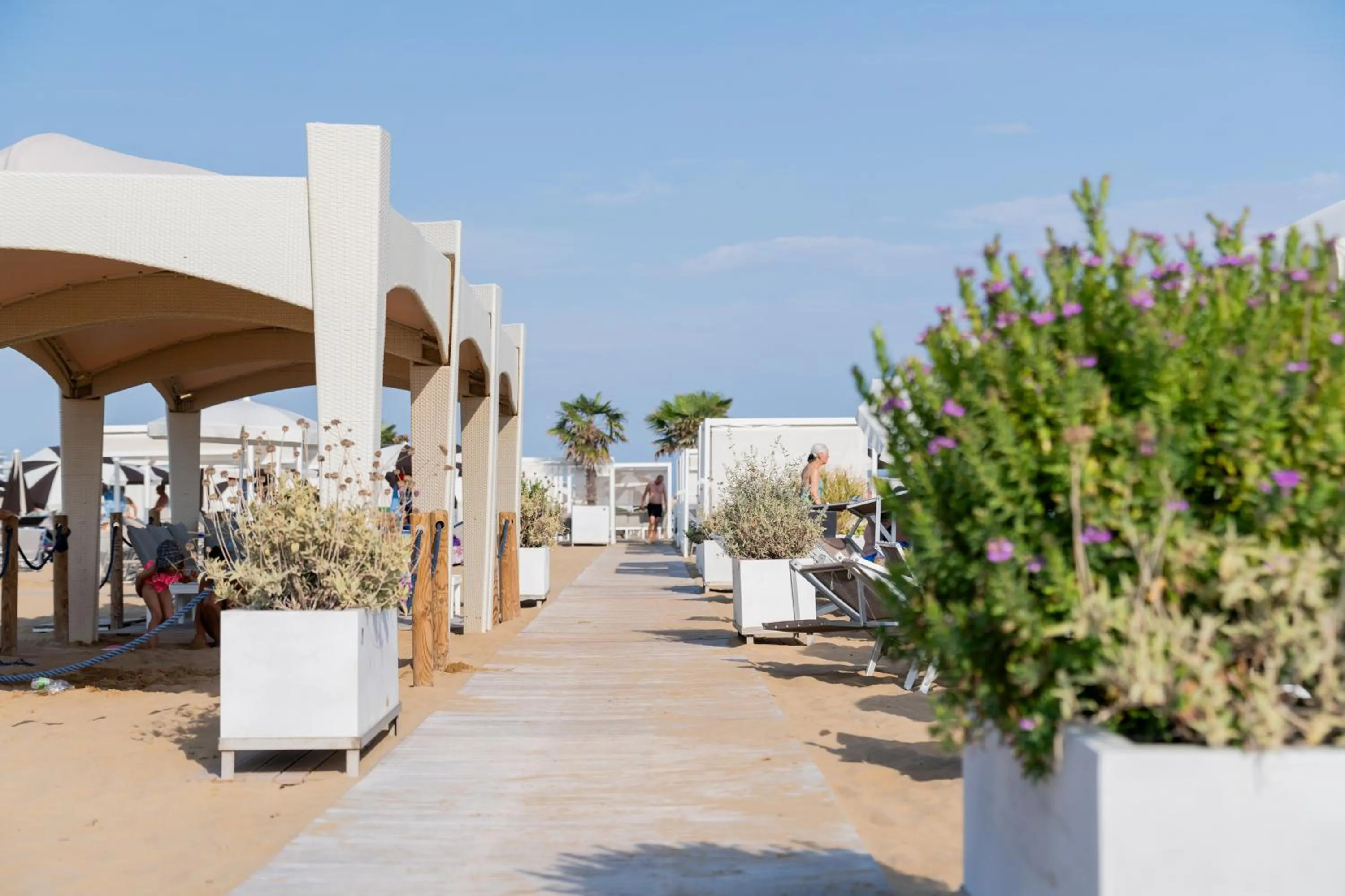 Summer in Residence Serenissima