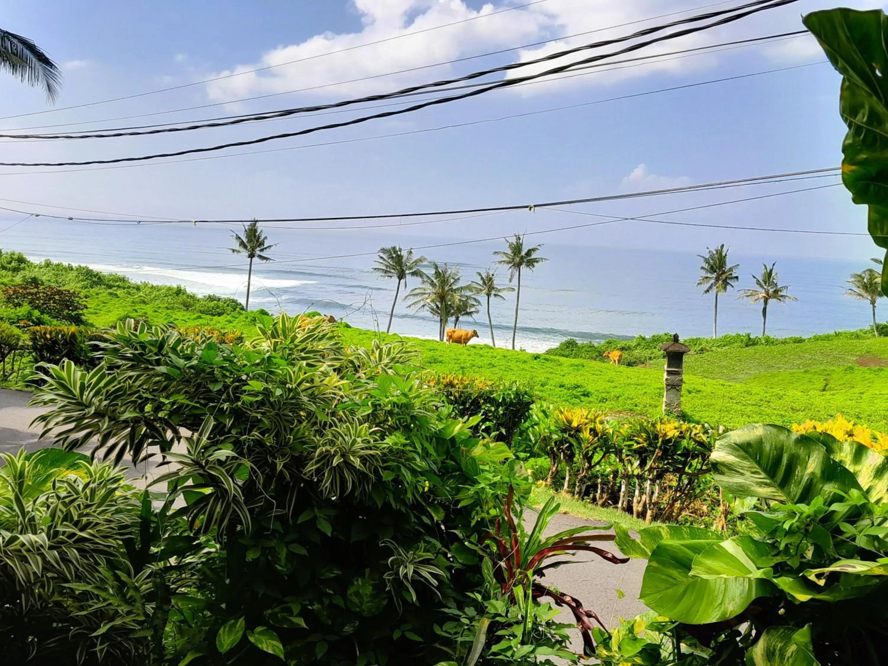 Day in Pondok Pisces Bungalows Balian Beach