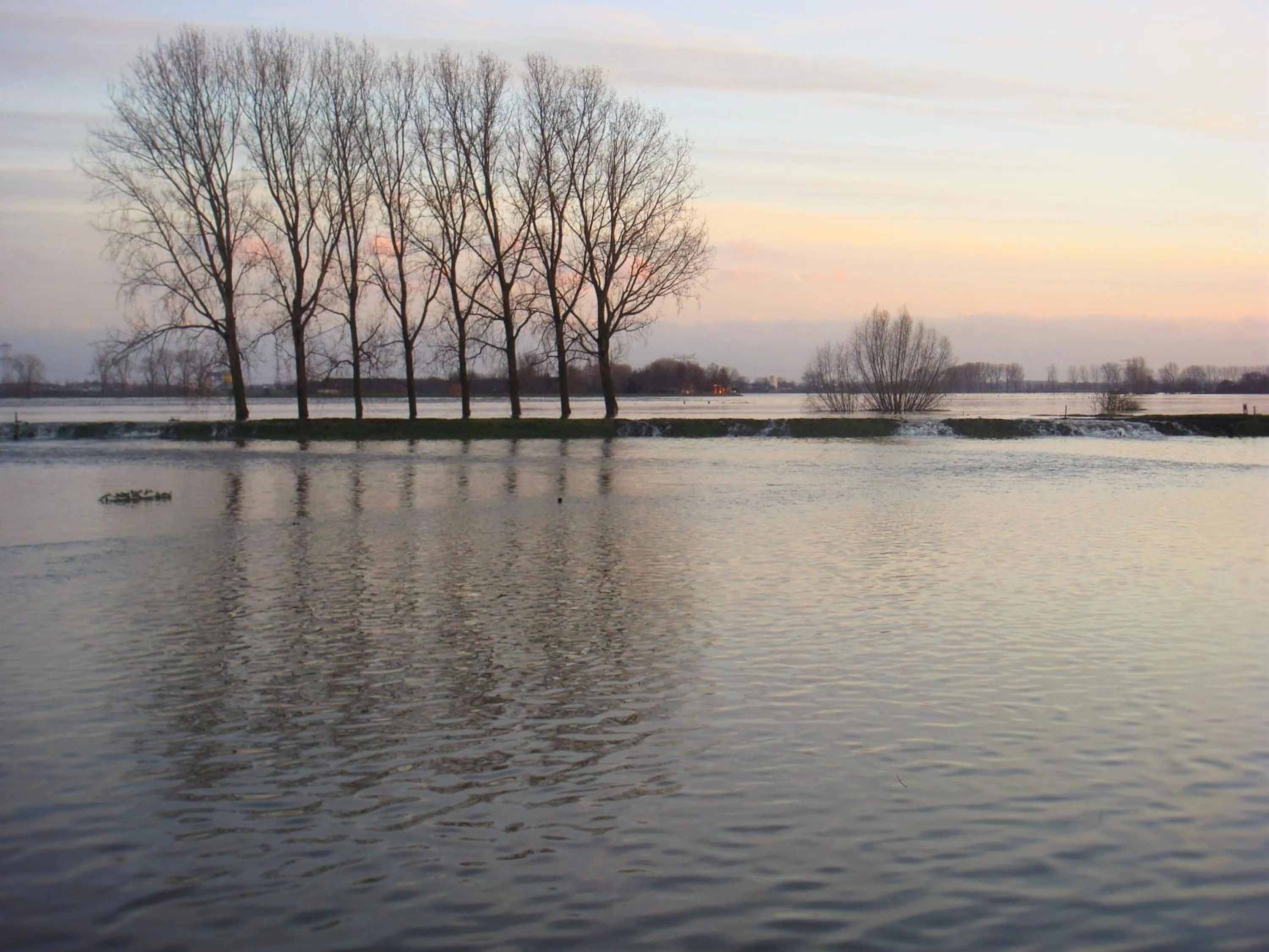 Natural landscape in B&B 't Goedhof