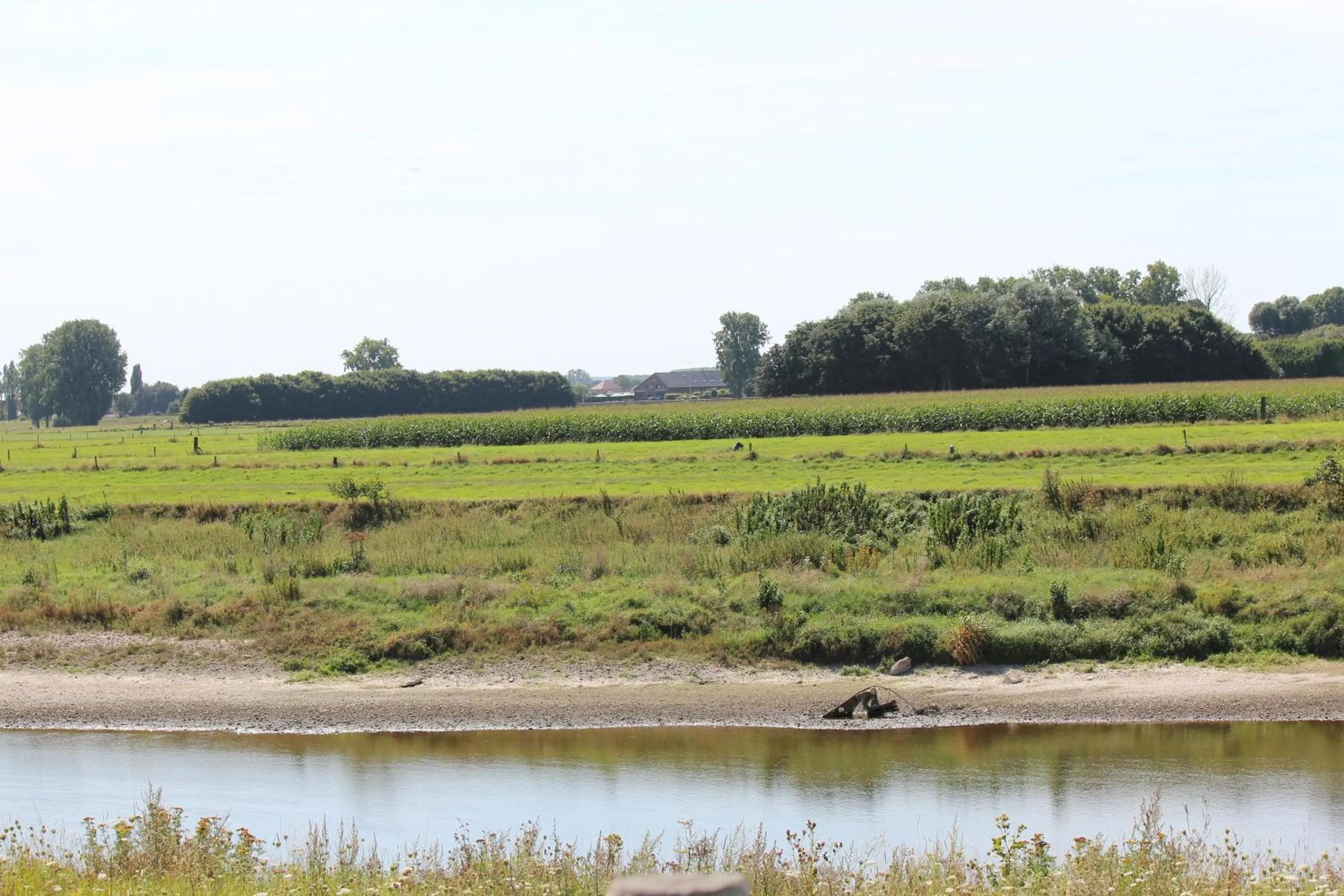 Natural landscape in B&B 't Goedhof