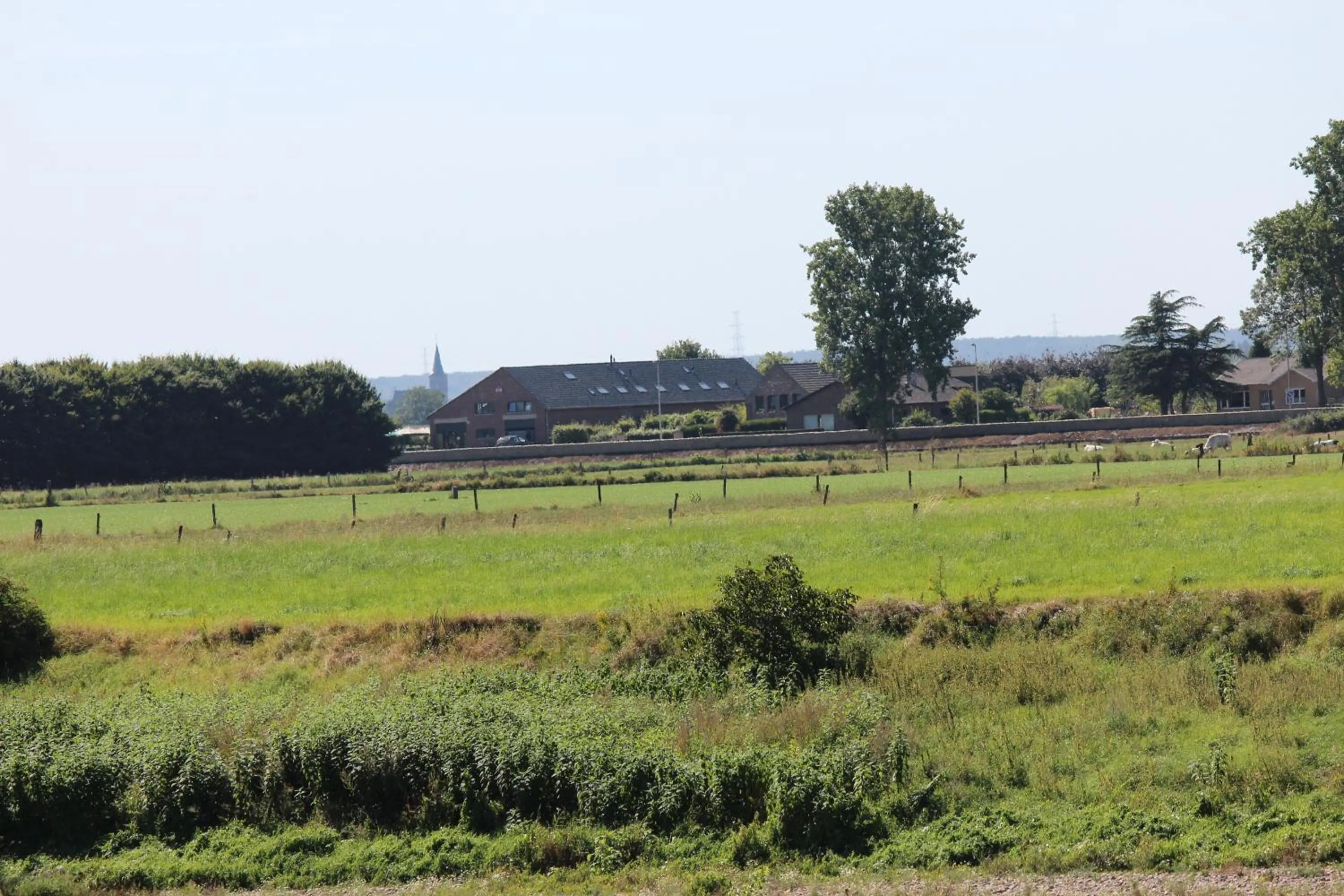 Natural landscape in B&B 't Goedhof