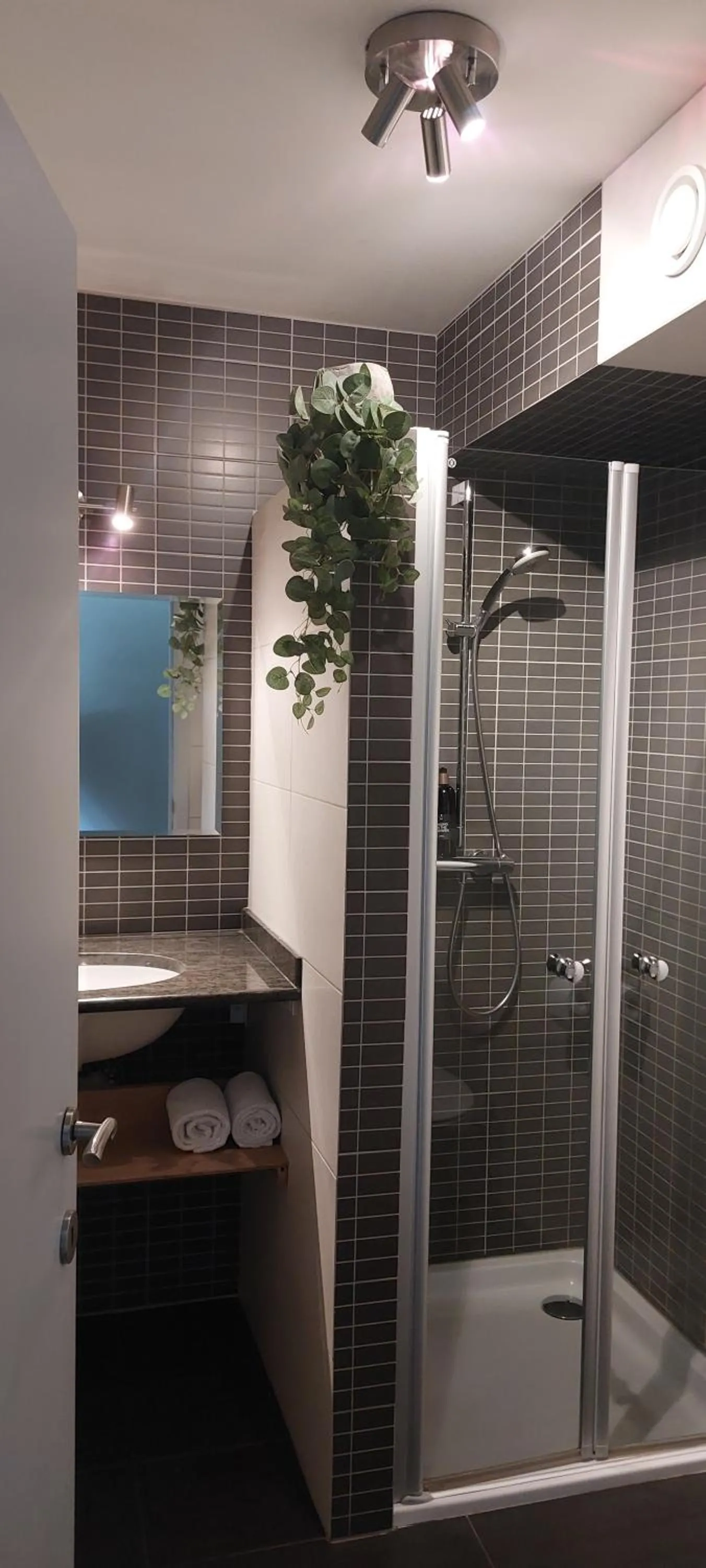 Shower in B&B 't Goedhof