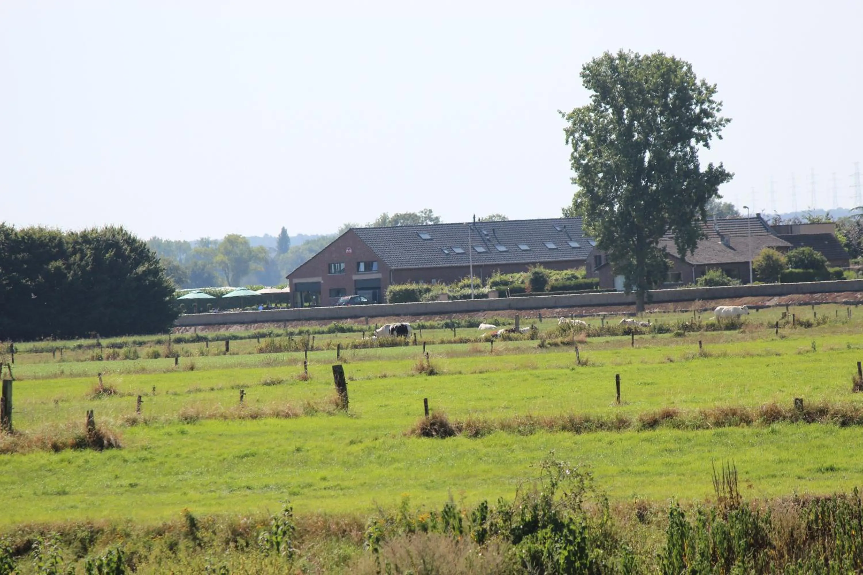 Natural landscape in B&B 't Goedhof