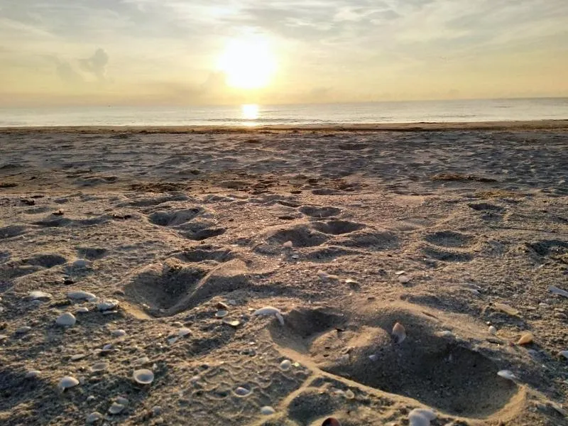 Beach in La Playa Beach Front Pool Villa Cha-am,Huahin