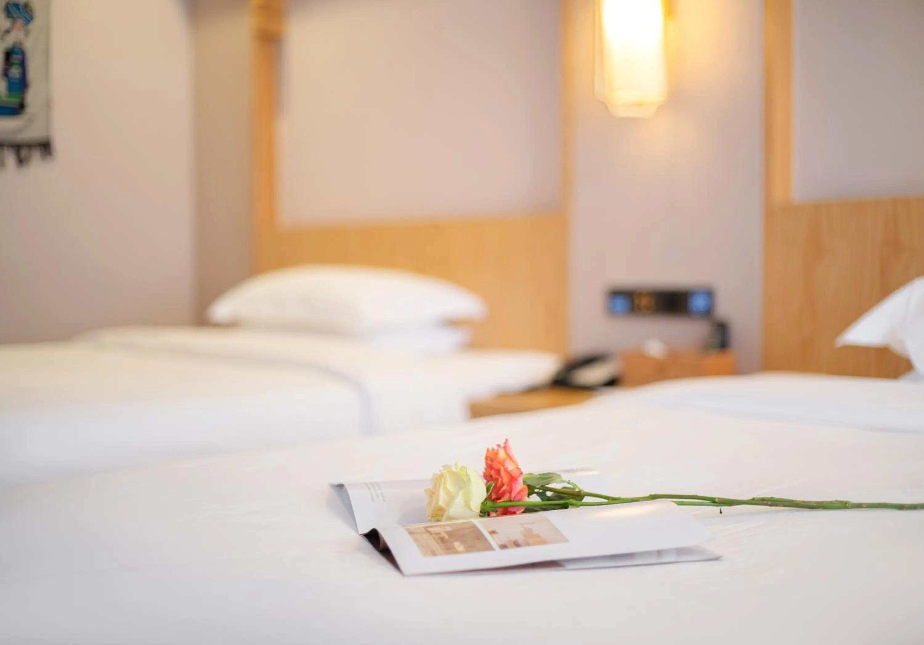 Superior Twin Room in Xiangxi's Lovely - Yangyun Hotel