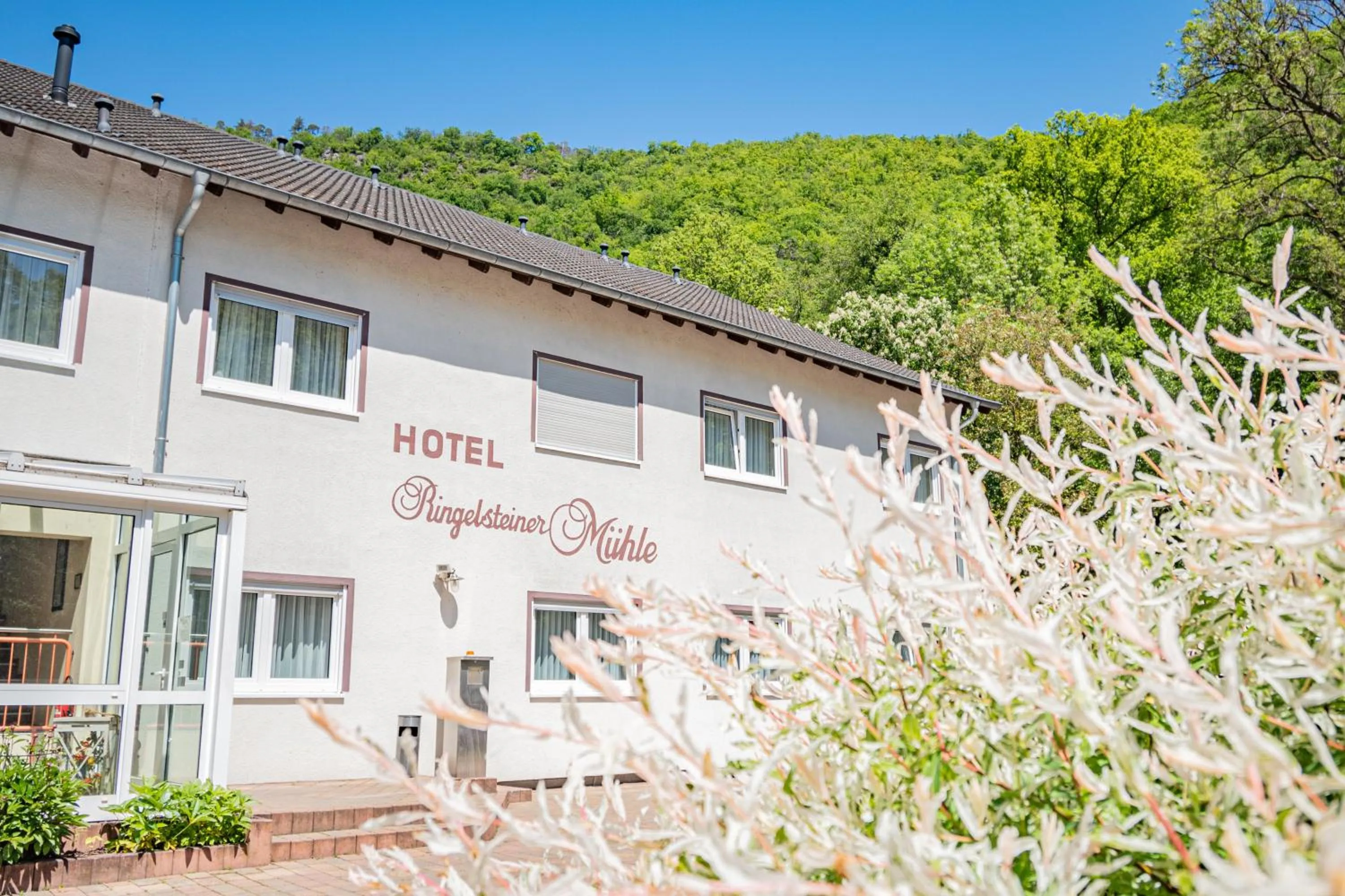 Property building in Landhotel Ringelsteiner Mühle