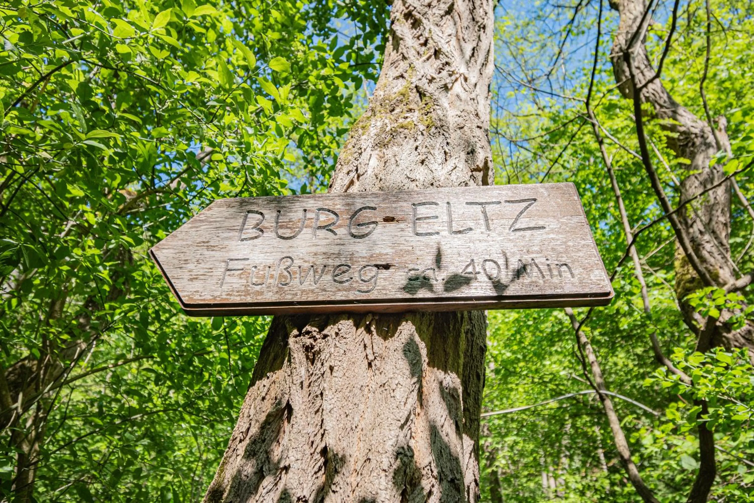 Hiking in Landhotel Ringelsteiner Mühle