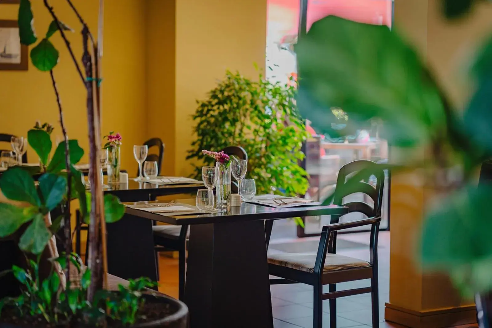 Restaurant/places to eat in Calheta Beach - All-inclusive - Savoy Signature Restaurant/places to eat in Calheta Beach - All-inclusive - Savoy Signature