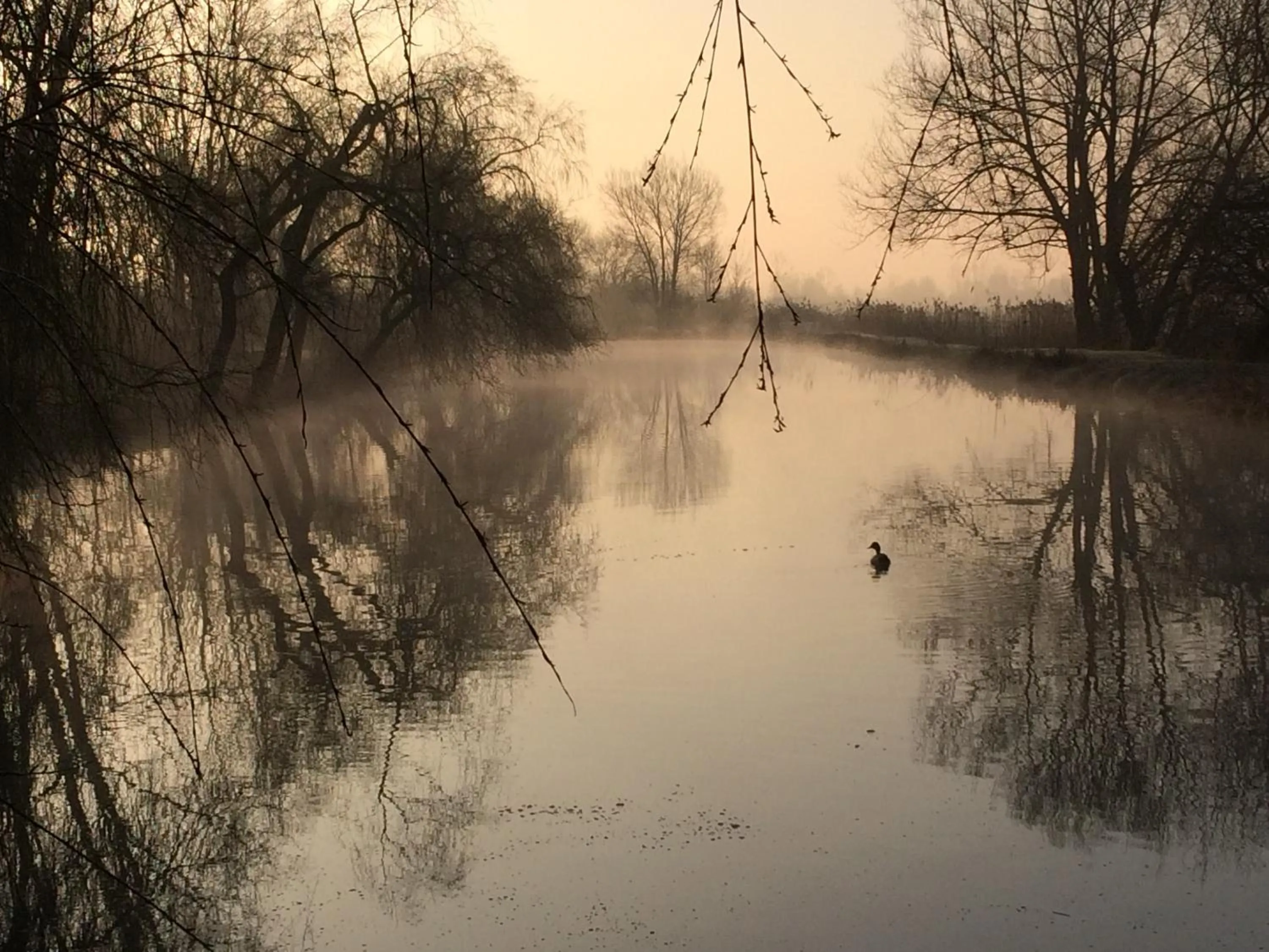 Property building in LOGIS Hôtel Le Chantoiseau