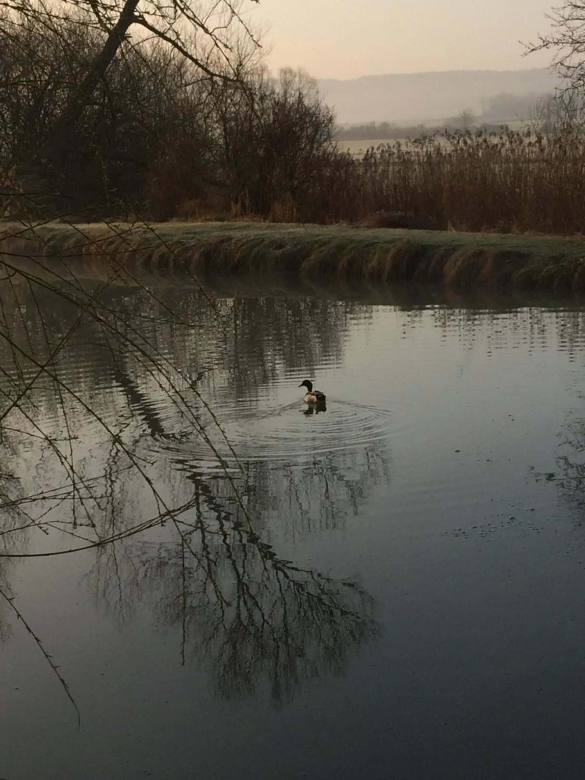 Property building in LOGIS Hôtel Le Chantoiseau