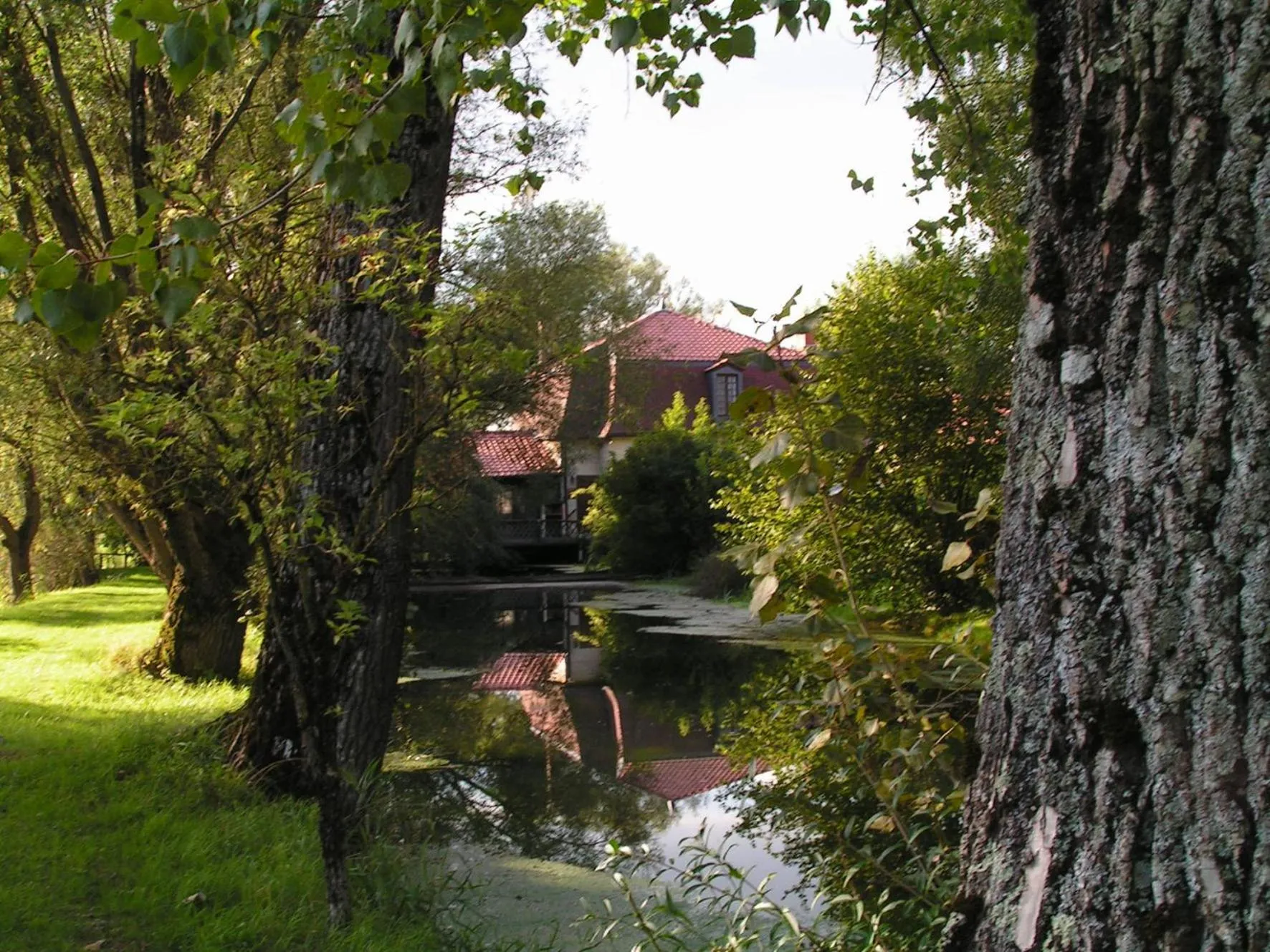 Area and facilities in LOGIS Hôtel Le Chantoiseau