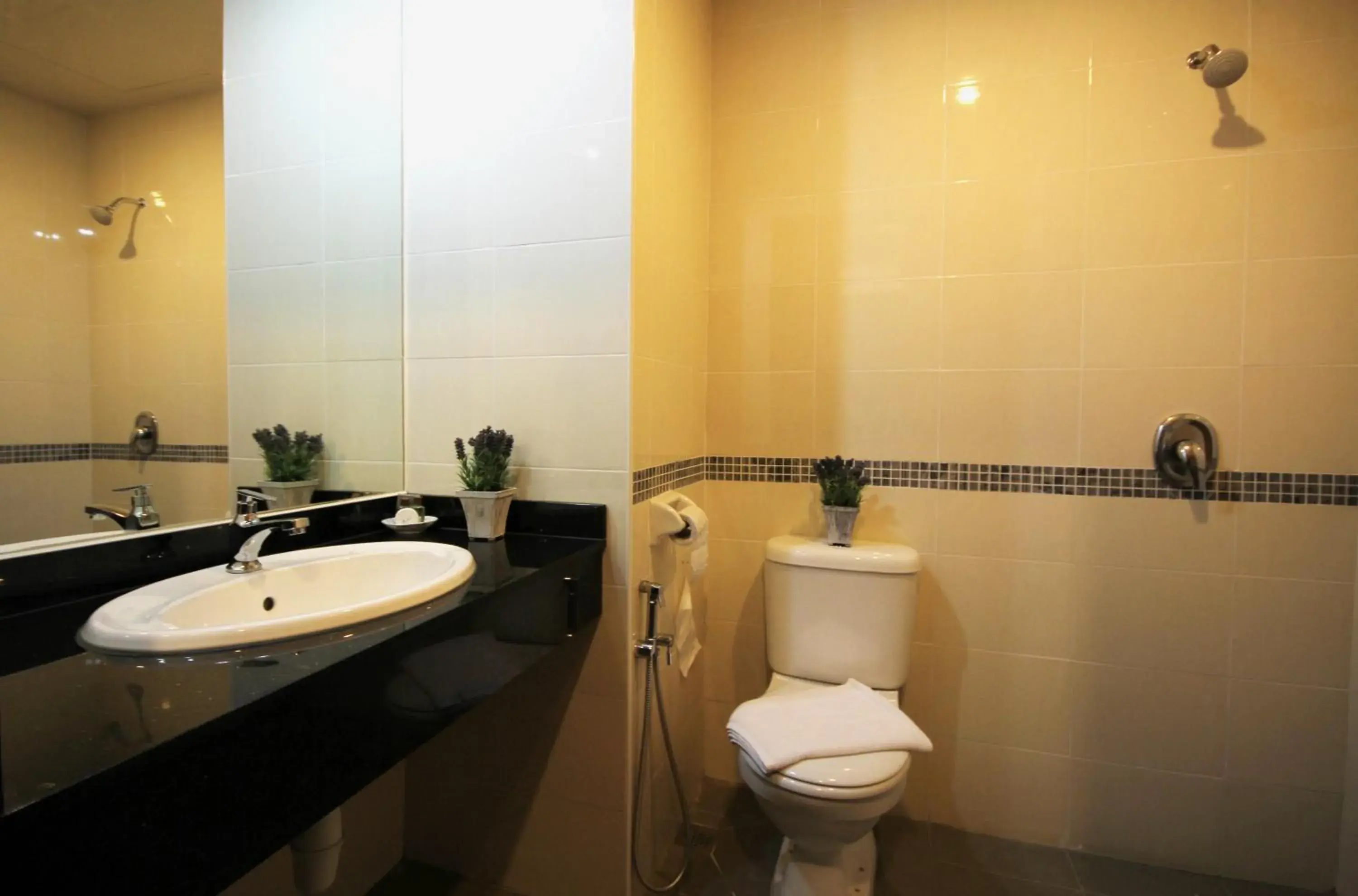 Shower in Aroma Hotel Shower in Aroma Hotel