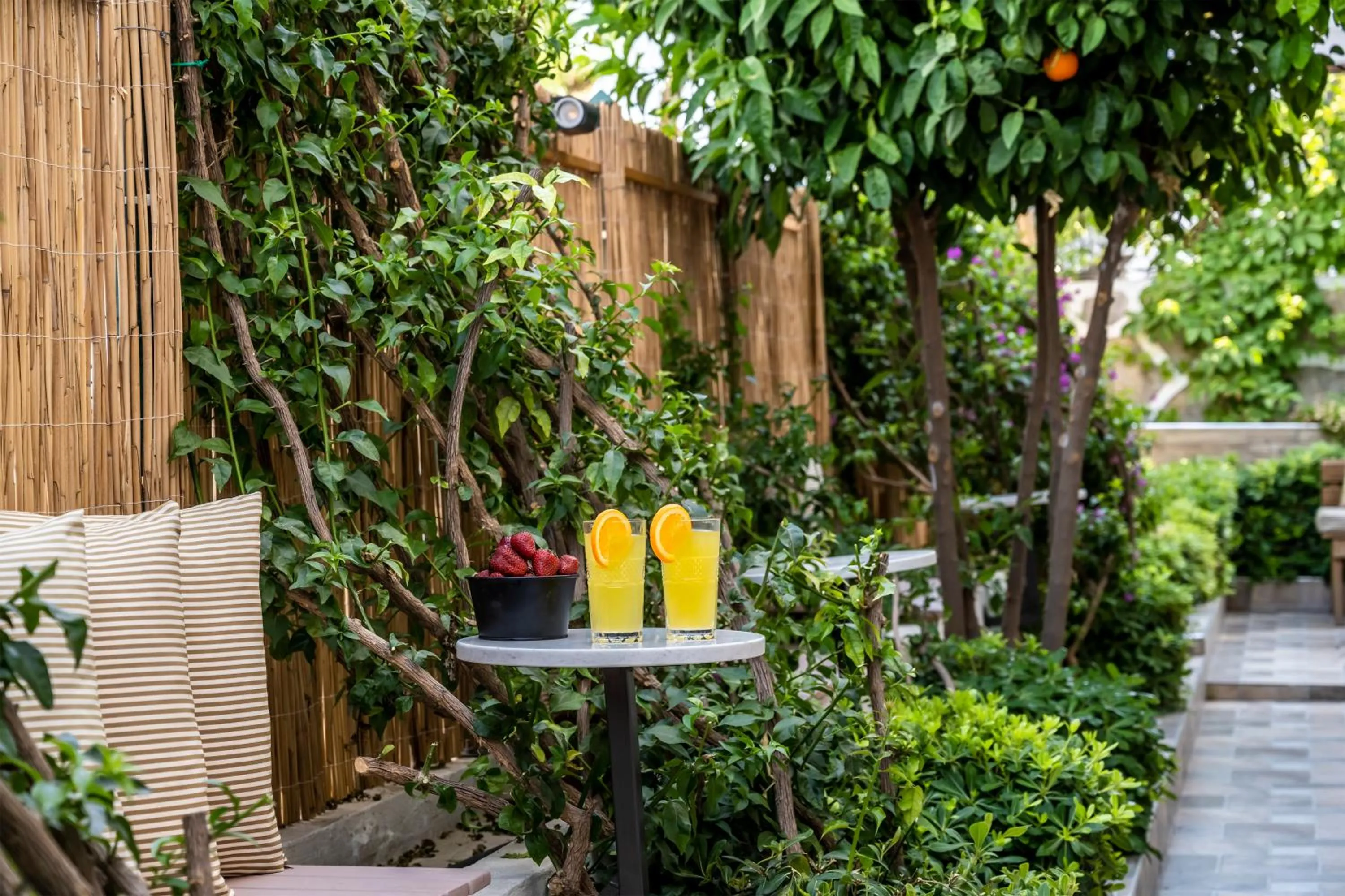 Garden in The Poyz Hotel Bodrum