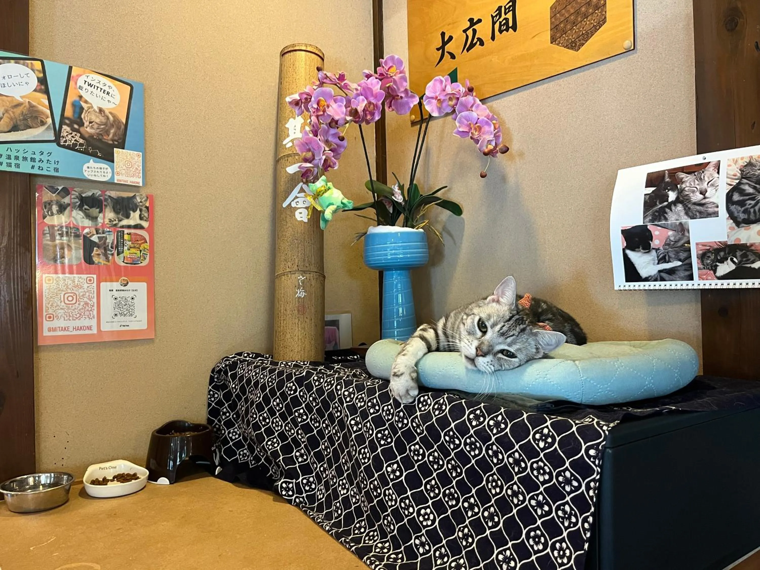 Area and facilities in Mitake