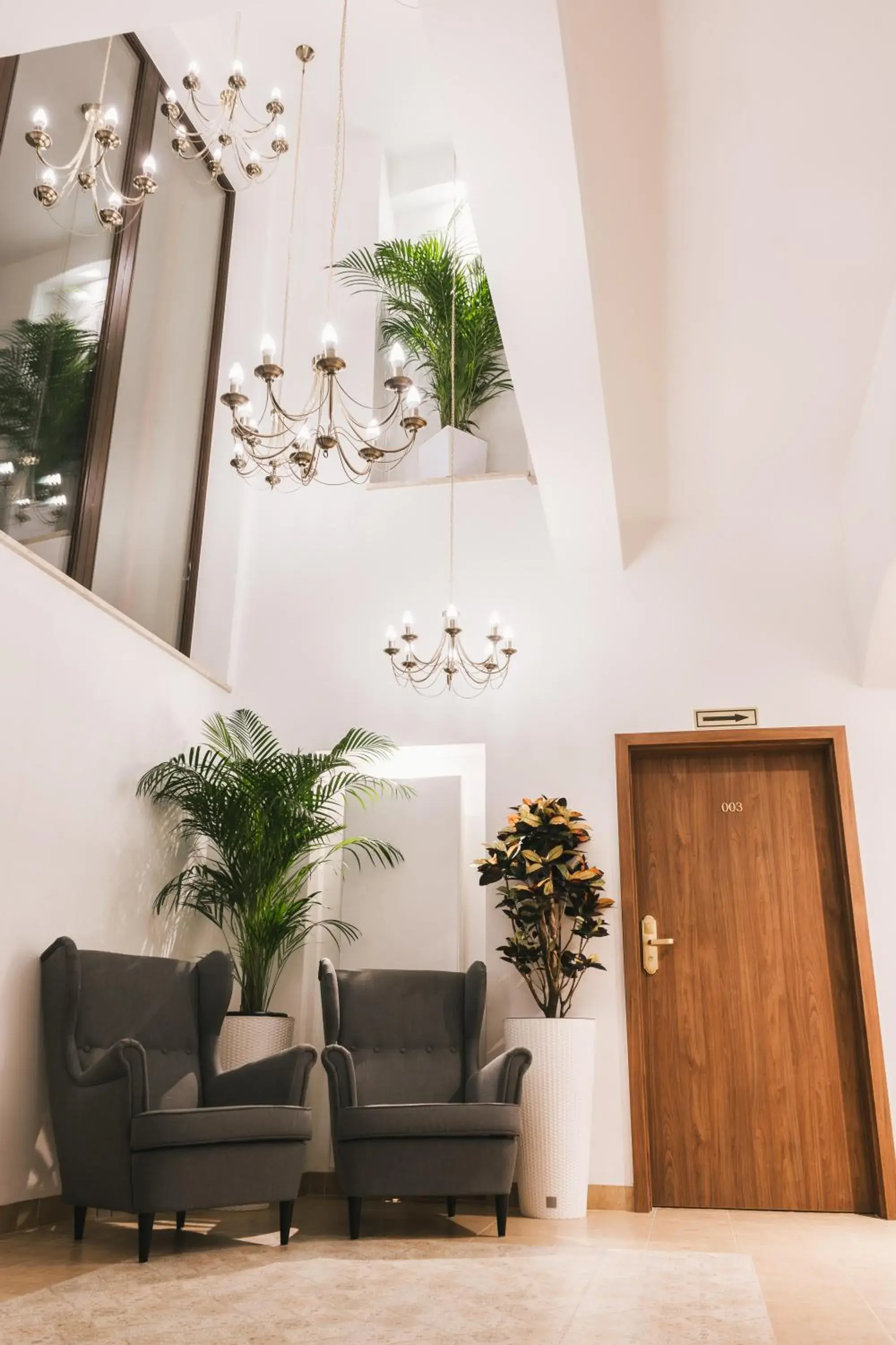 Lobby or reception in Hotel & Apartments Ventus Rosa Lobby or reception in Hotel & Apartments Ventus Rosa